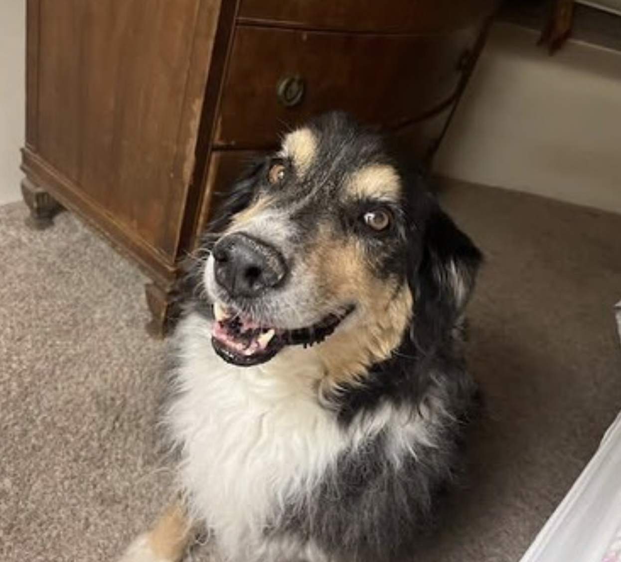 Screenshot 2025-10-30 at 2.15.55 PM.png