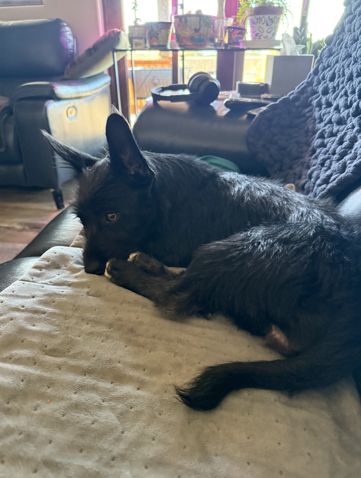 Screenshot 2026-02-27 at 6.47.38 PM.png