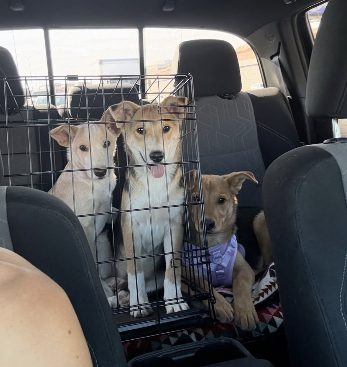 Screenshot 2025-10-30 at 2.16.22 PM.png