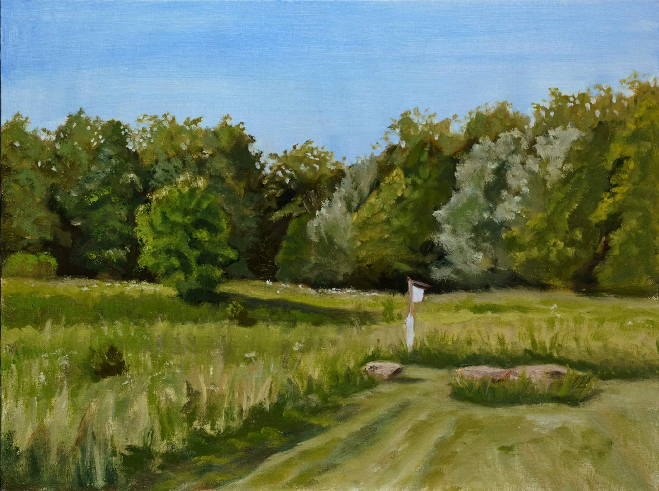 Landscapes