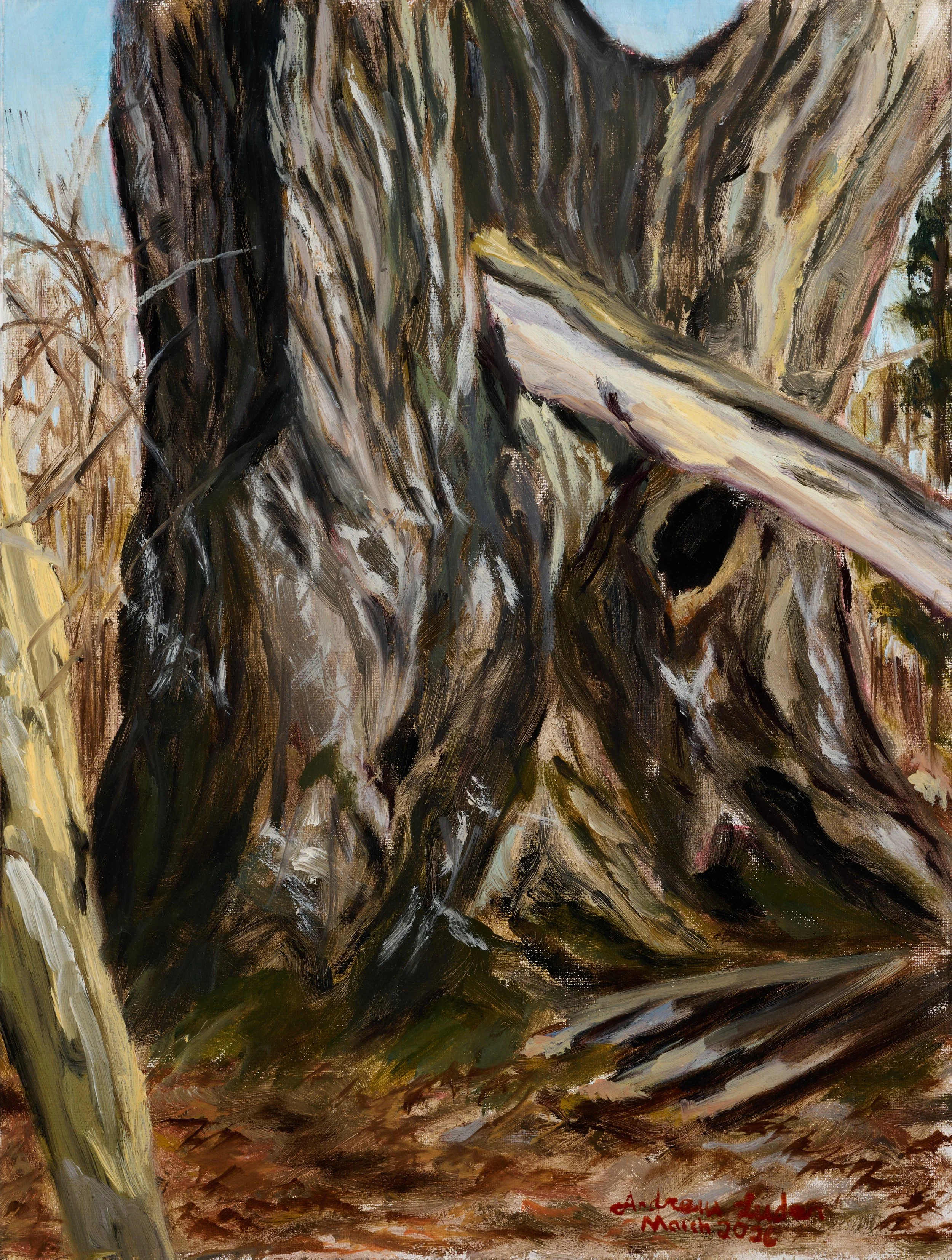 Cheshire Road Cottonwood - Oil on Gatorboard Mounted Linen - 9"x12" - 2026