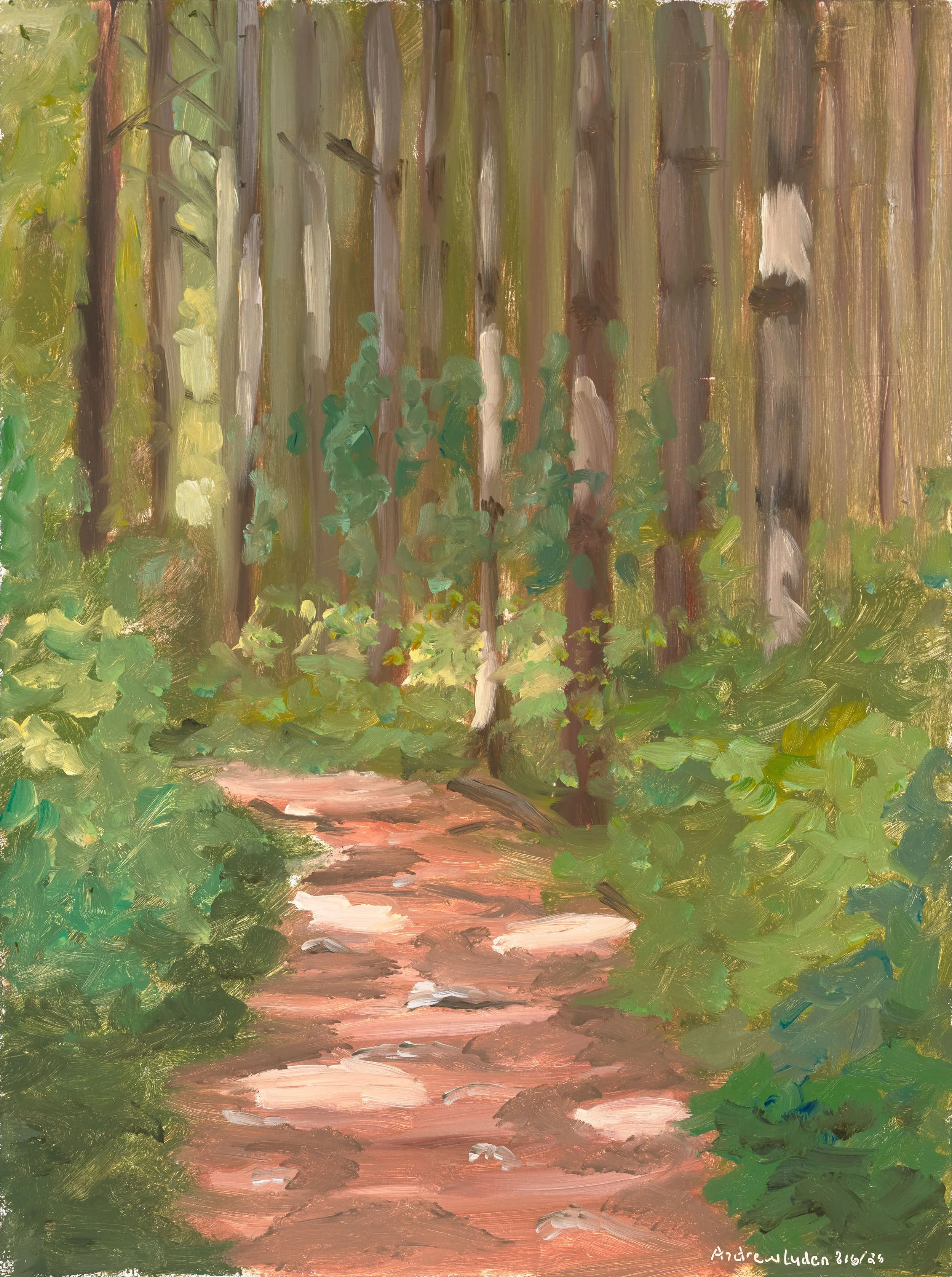 Parkhill Pines Plein Air - 8-6-26 - 12"x9" - Oil on Hardboard