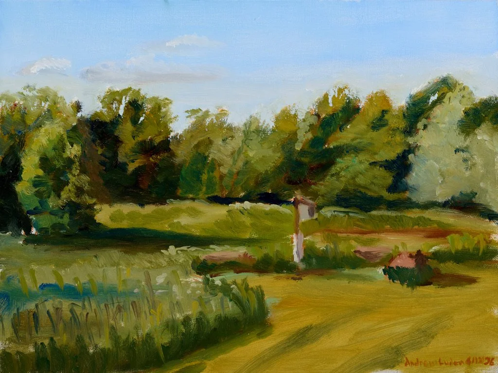 Hoover Meadows - Plein Air 6-12-26 - 9"x12" - Oil on Gatorboard Mounted Linen