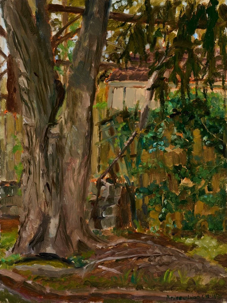 Backyard Maple - Plein Air 6-18 to 6-19-26 - 12"x9" - Oil on Gatorboard Mounted Linen