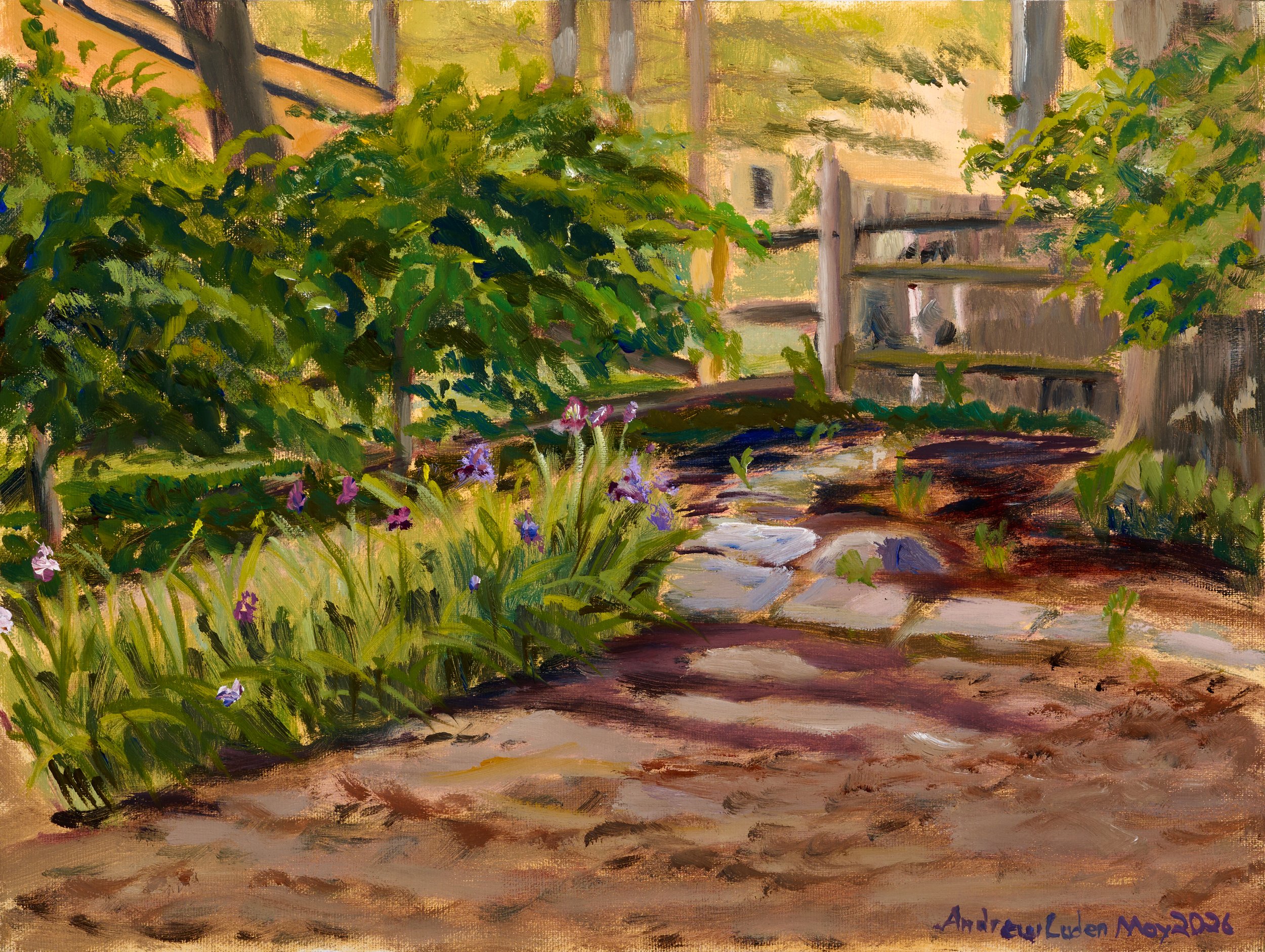 Backyard Iris Plein Air_CanvasPanel_9x12_May_2026.jpg