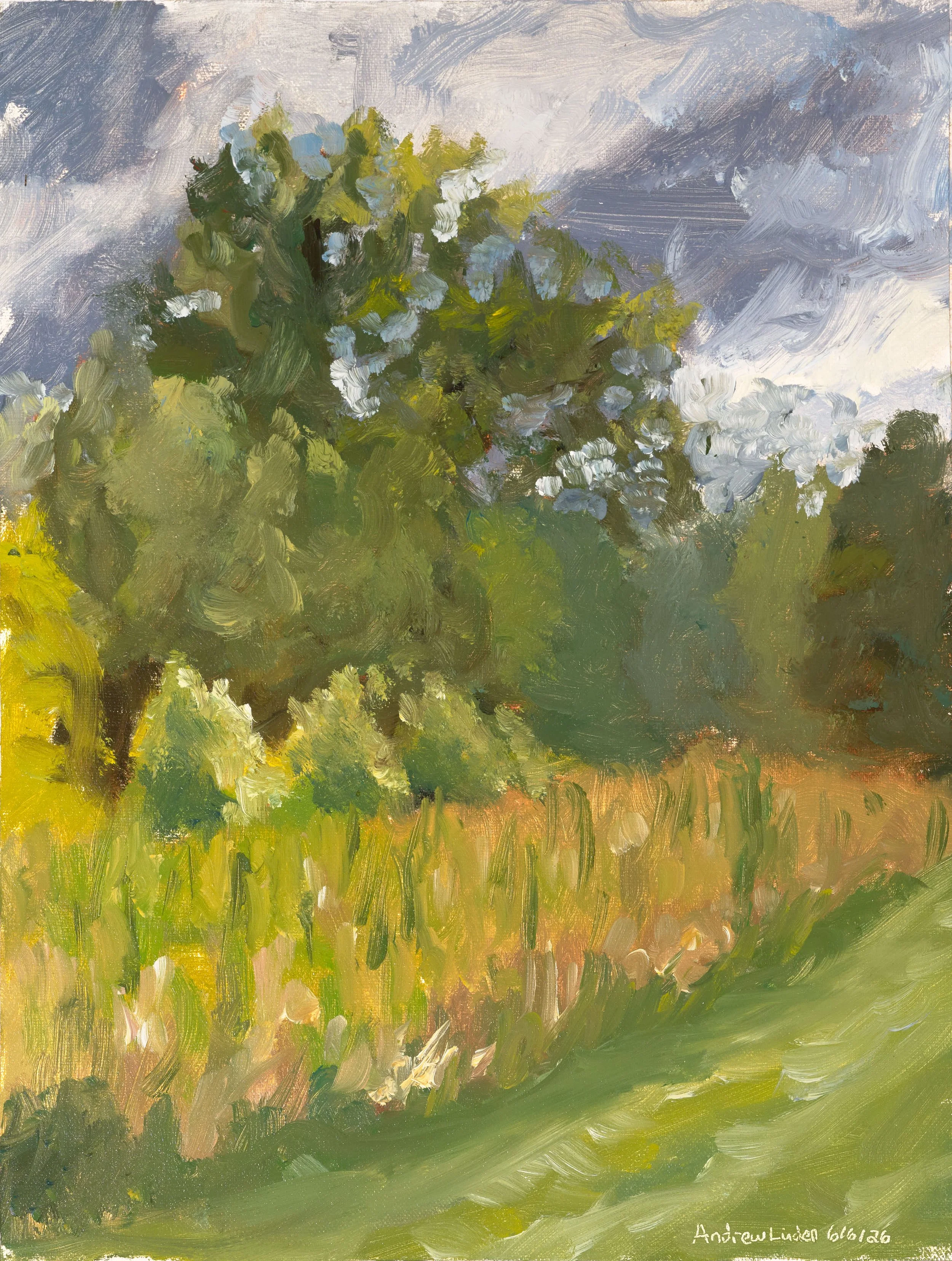 Parkhill Park - Plein Air 7-6-26 - 12"x9" - Oil on Linen mounted to Gatorboard