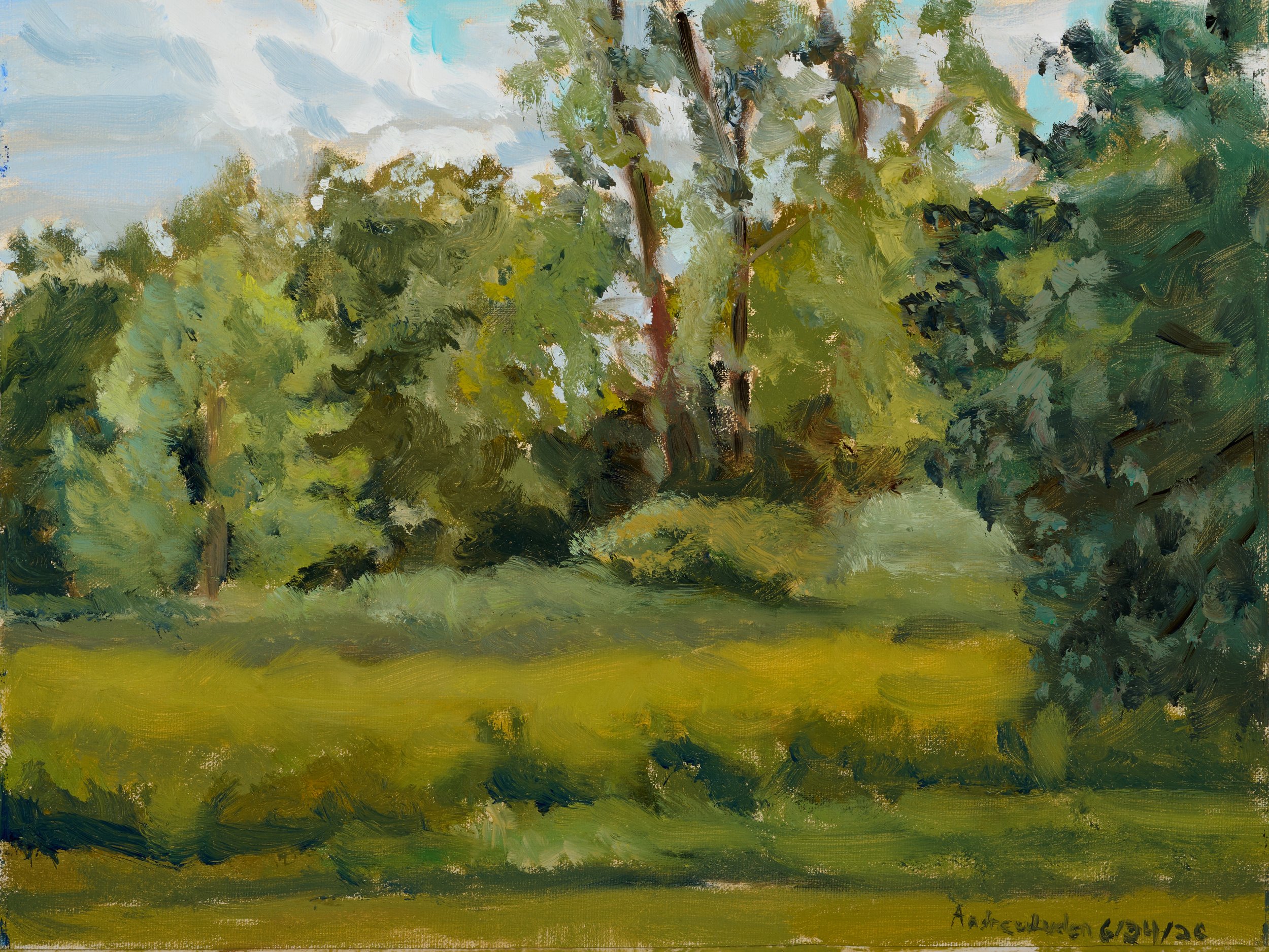 Plein Air Paintings
