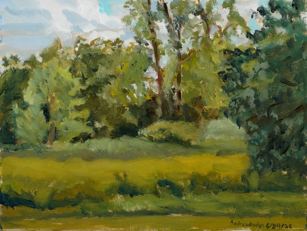 Sharon Woods - Plein Air 6-24-26 - 9"x12" - Oil on Gatorboard Mounted Linen