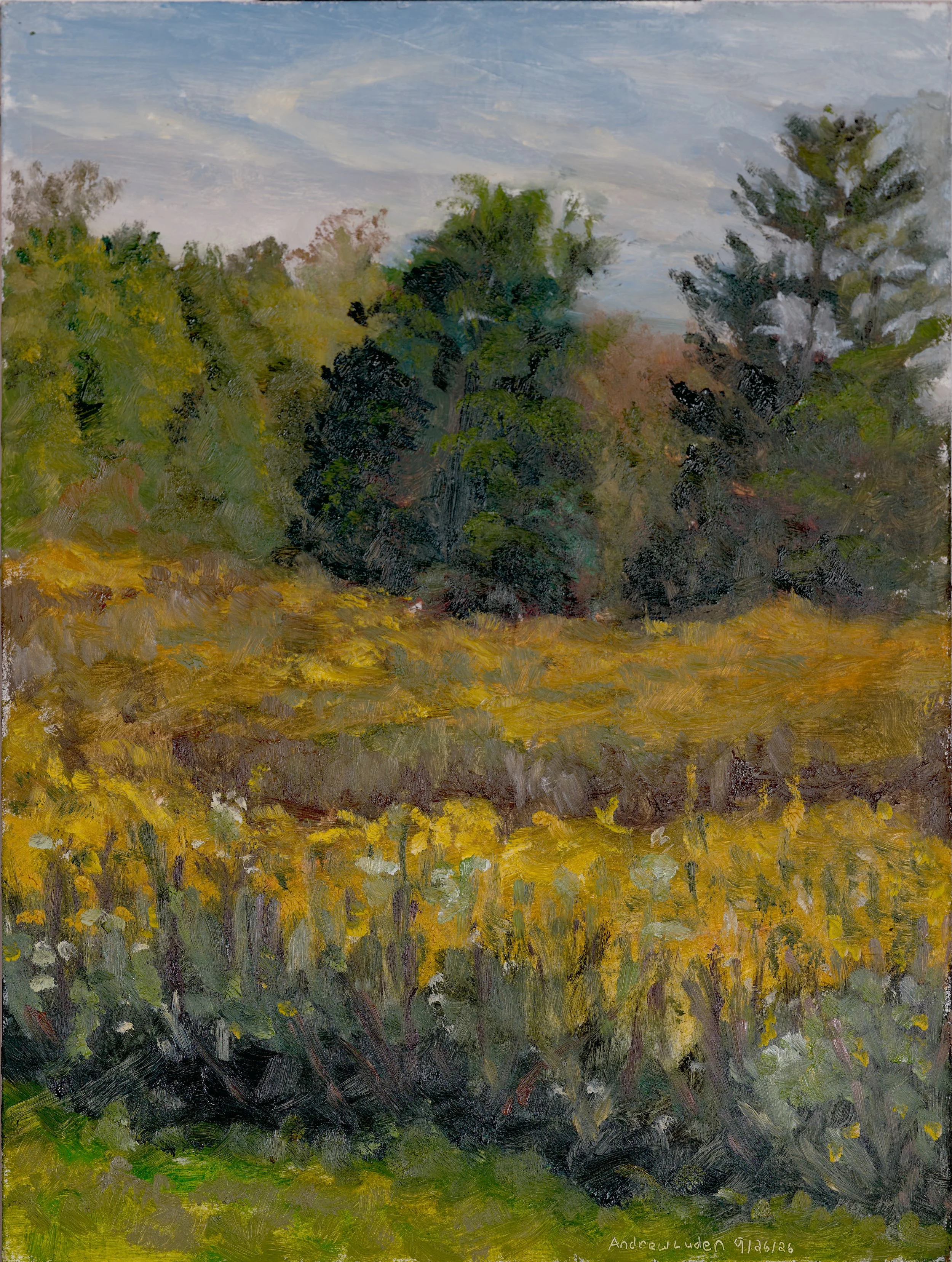 McCammon Park - 12"x9" - Oil on Oil Primed Hardboard - 9-26-26 