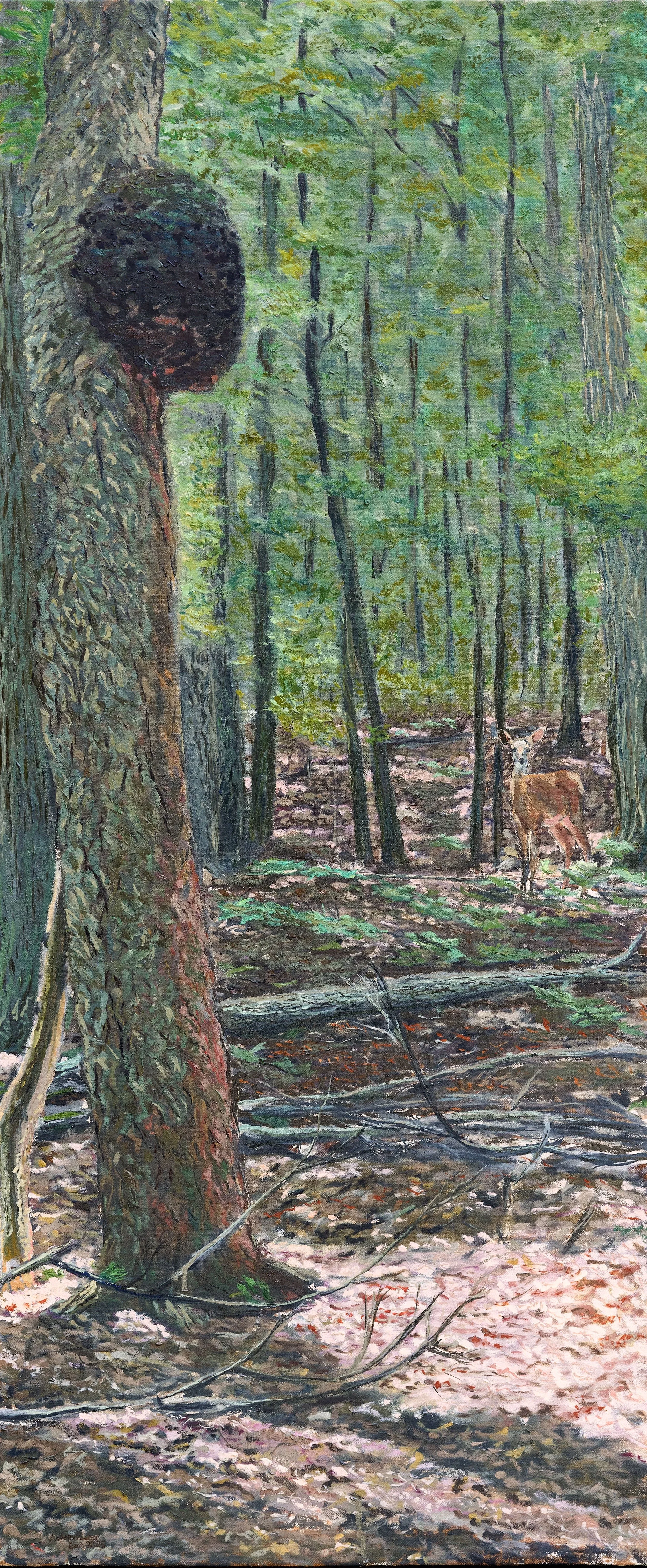 Blendon Ravines - Oil On Canvas 43"x18" - 2025