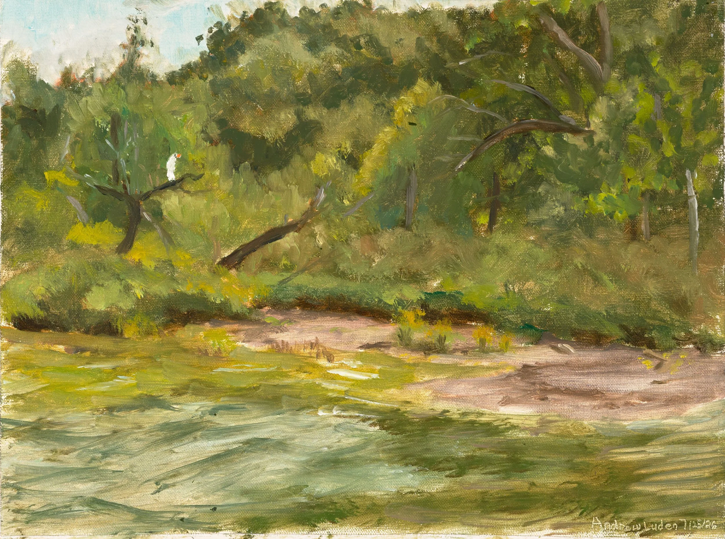 Galena Mudflats Plein Air 7-25-26_9x12_linenongatorboard_7-25-26.jpg