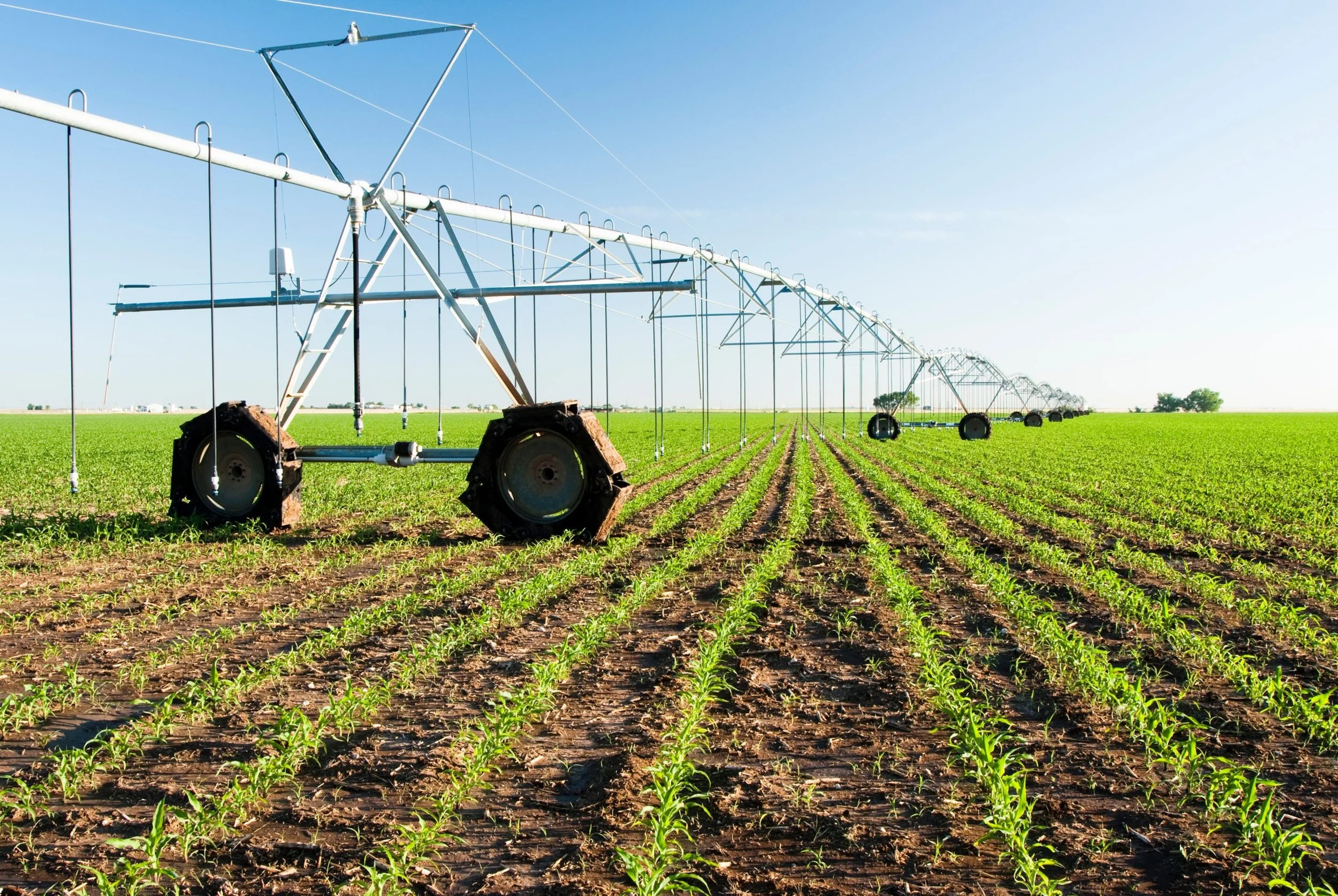 Growing Strong: The Essential Role of Bulk Water in Texas Agriculture