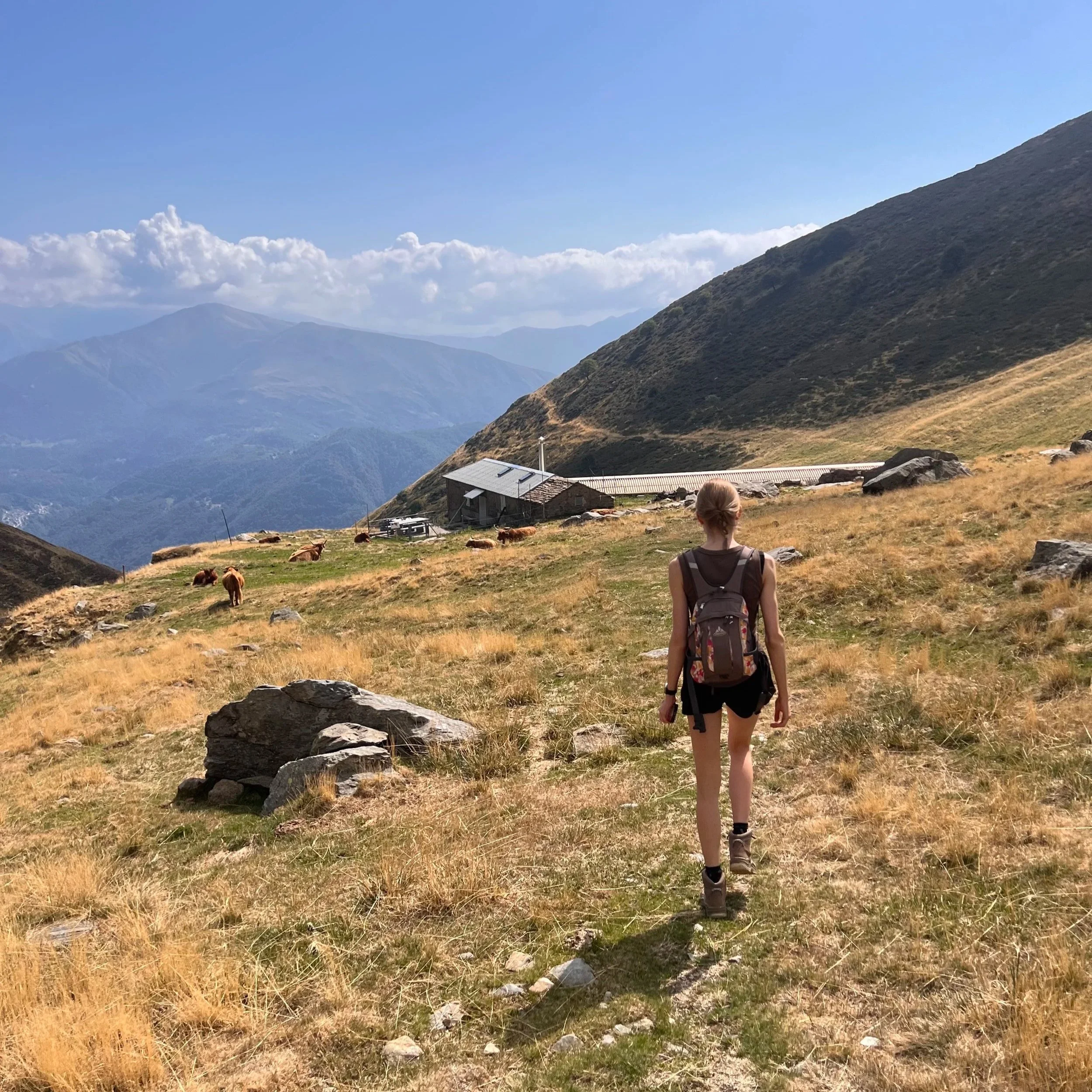 A person with a backpack walking through a hilly landscape with grazing animals, a small building, and mountains in the background under a partly cloudy sky.