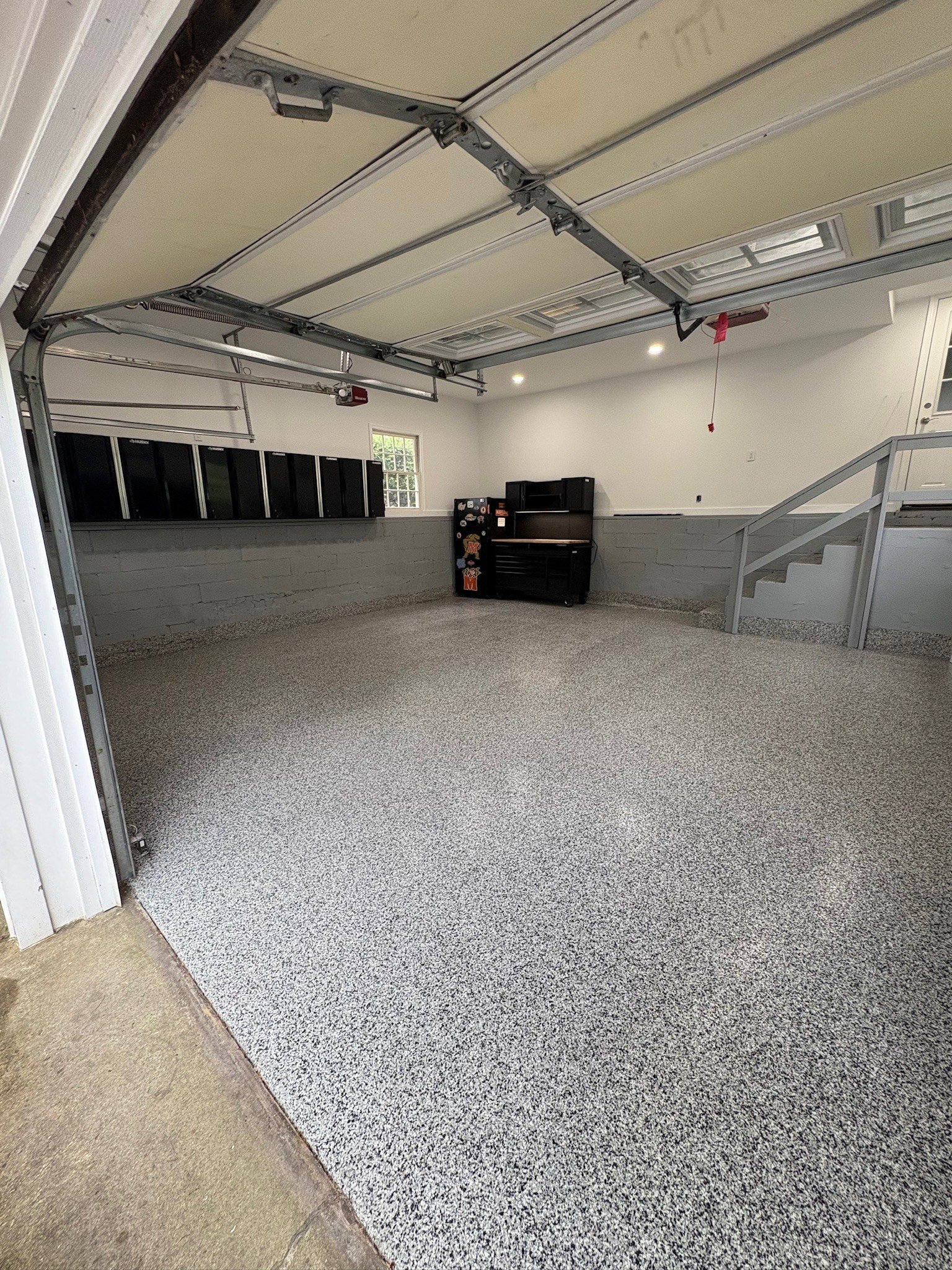 image_6483441 (3).JPG