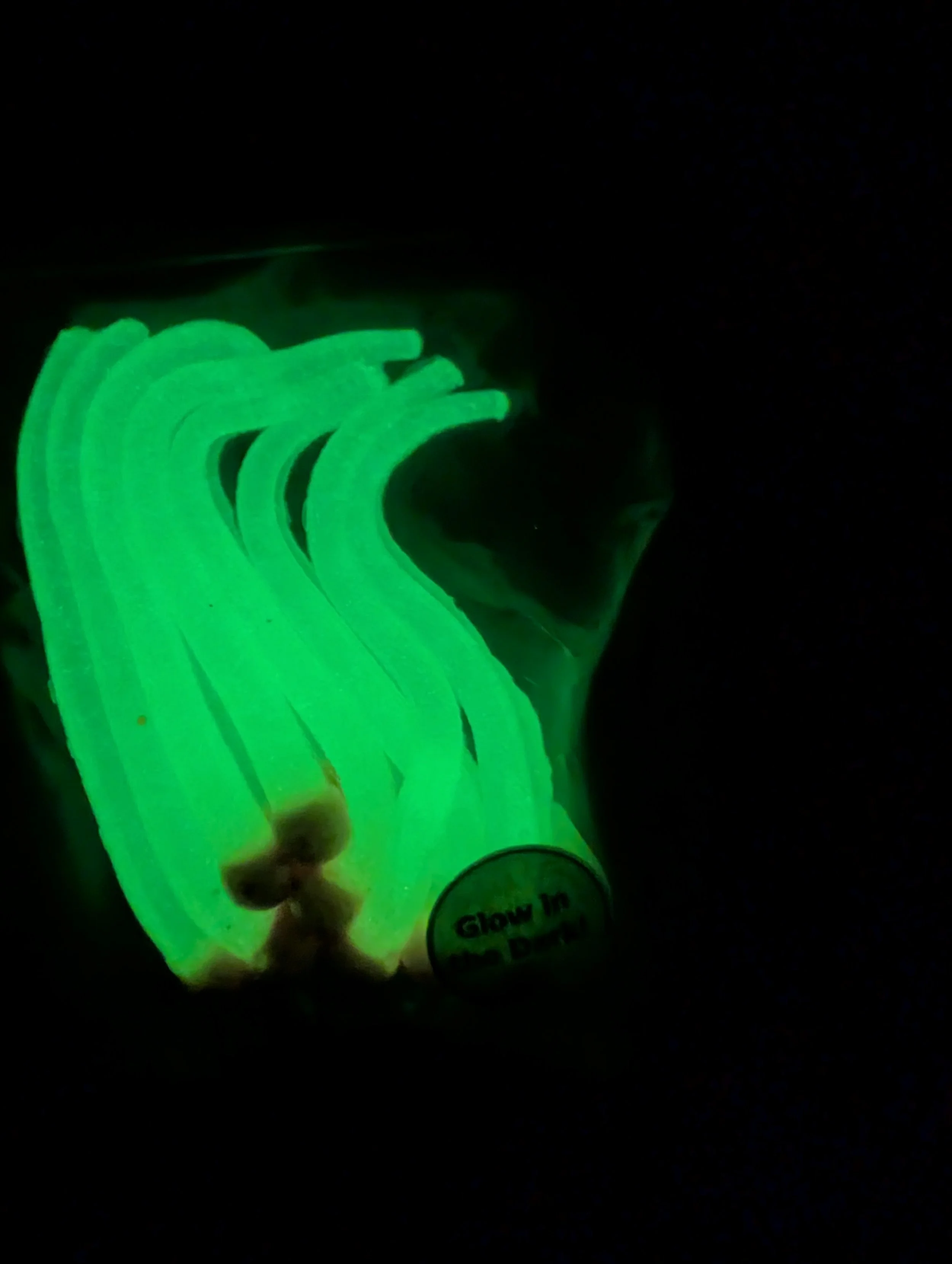 Chart Pink Green Dark.jpg