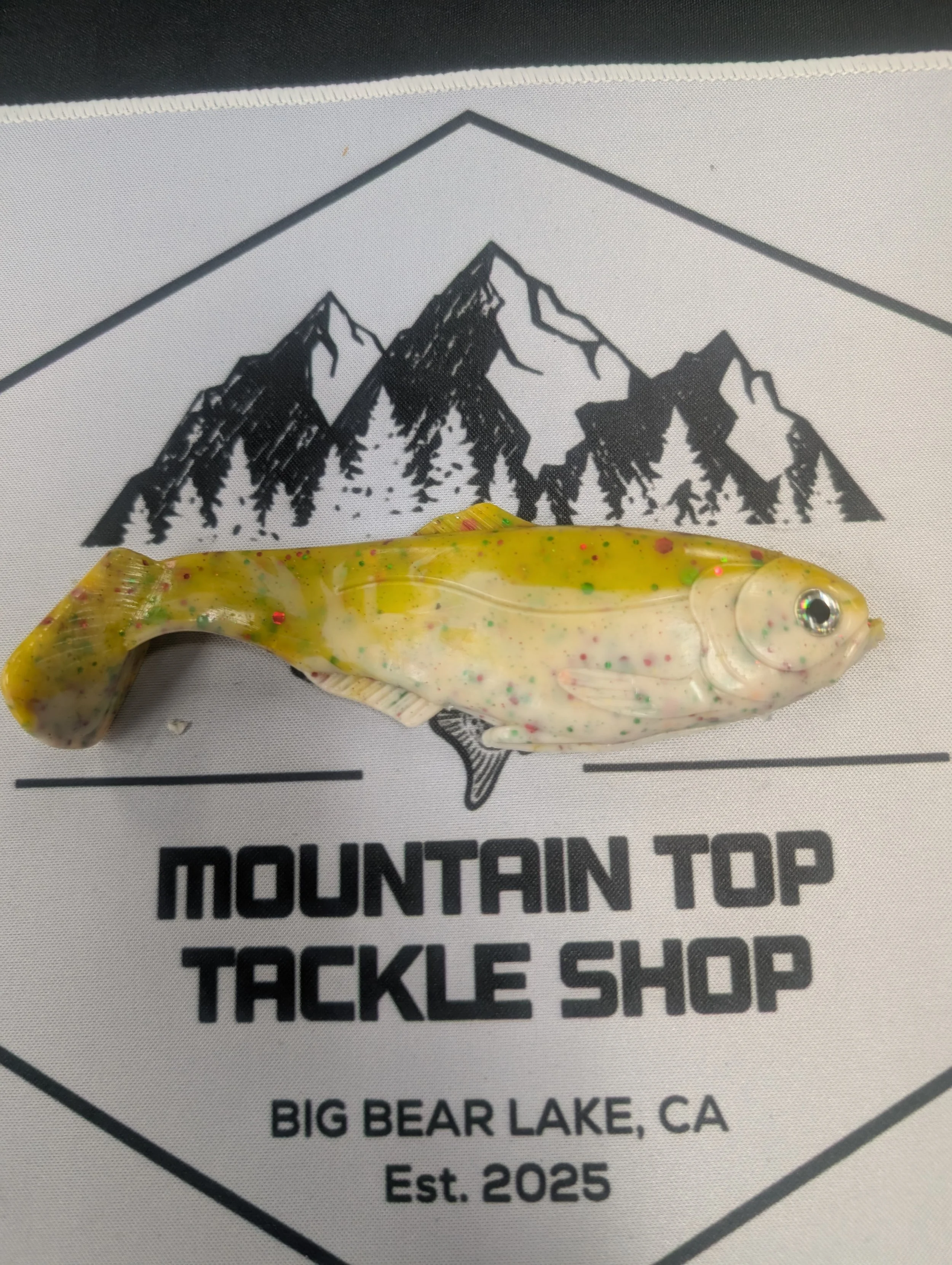 6" War Fish - SALTED - Milk n Cereal
