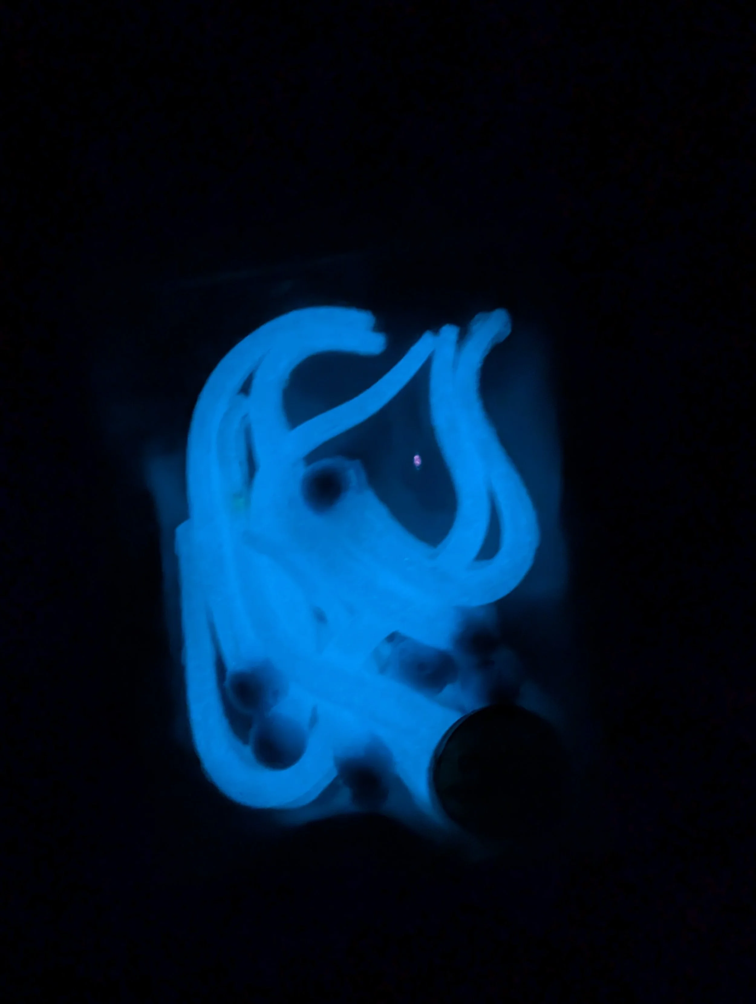 White Pink Aqua Dark.jpg