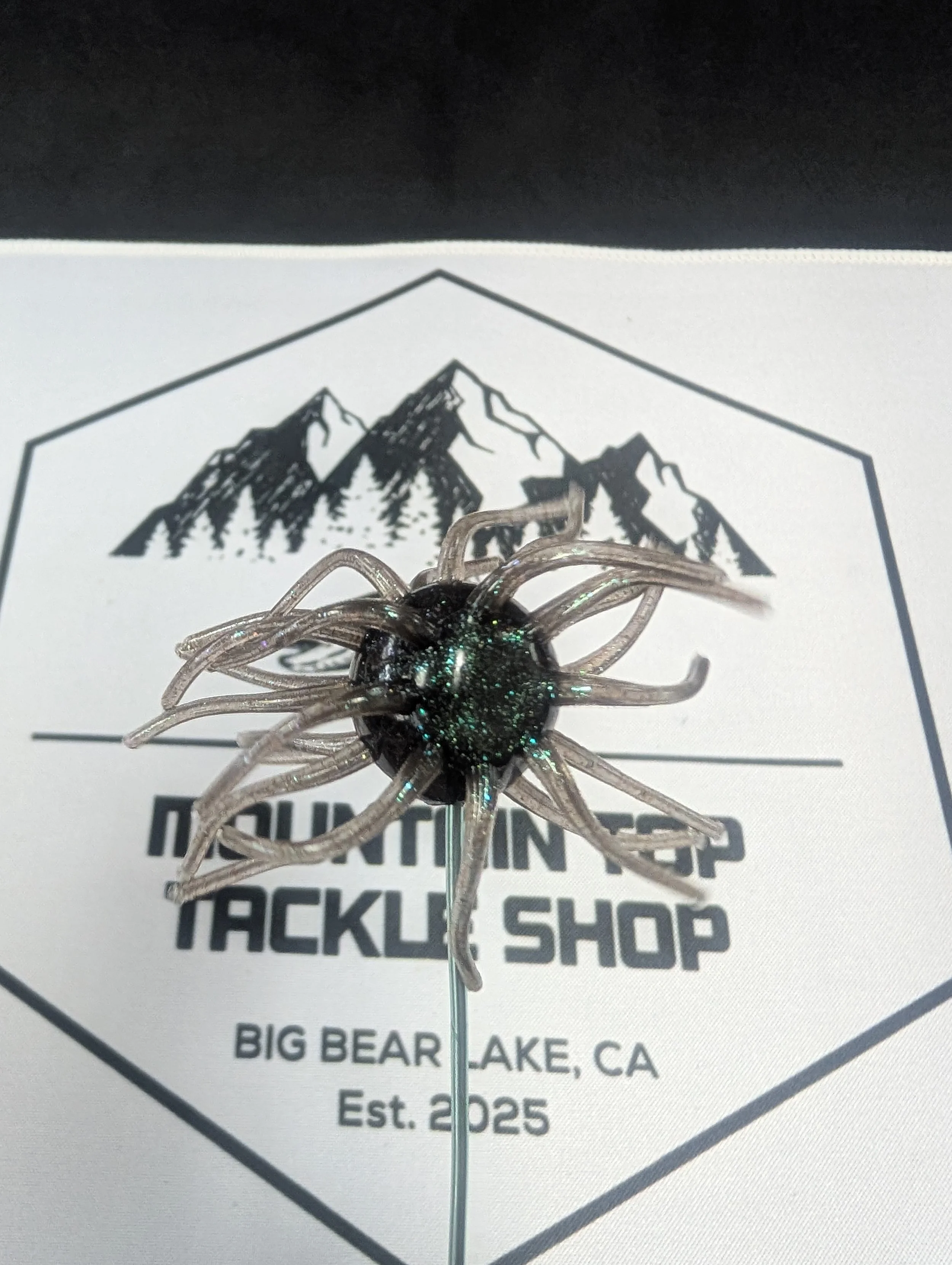 Moon Rock