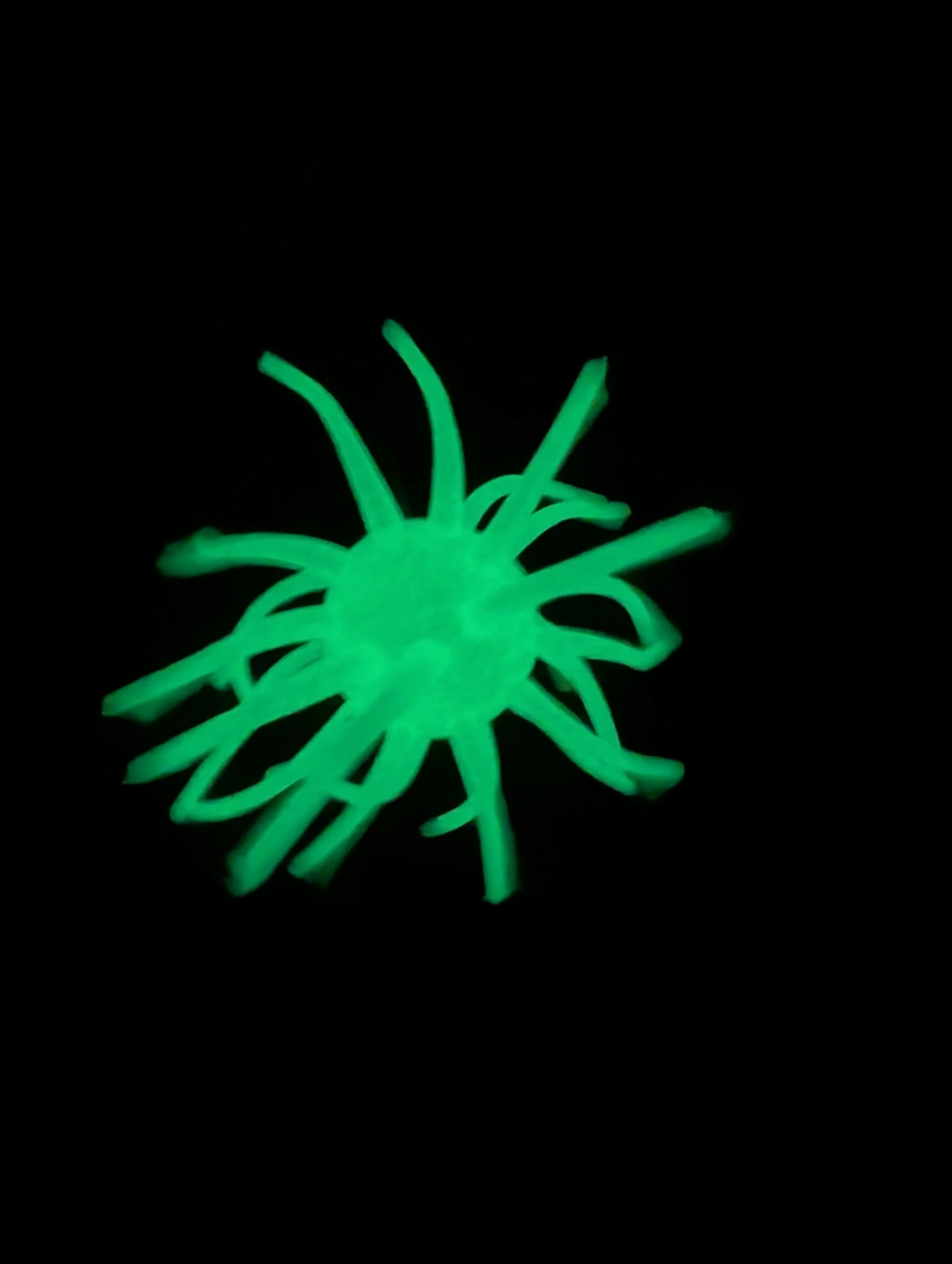 Swamp Slime Dark.jpg