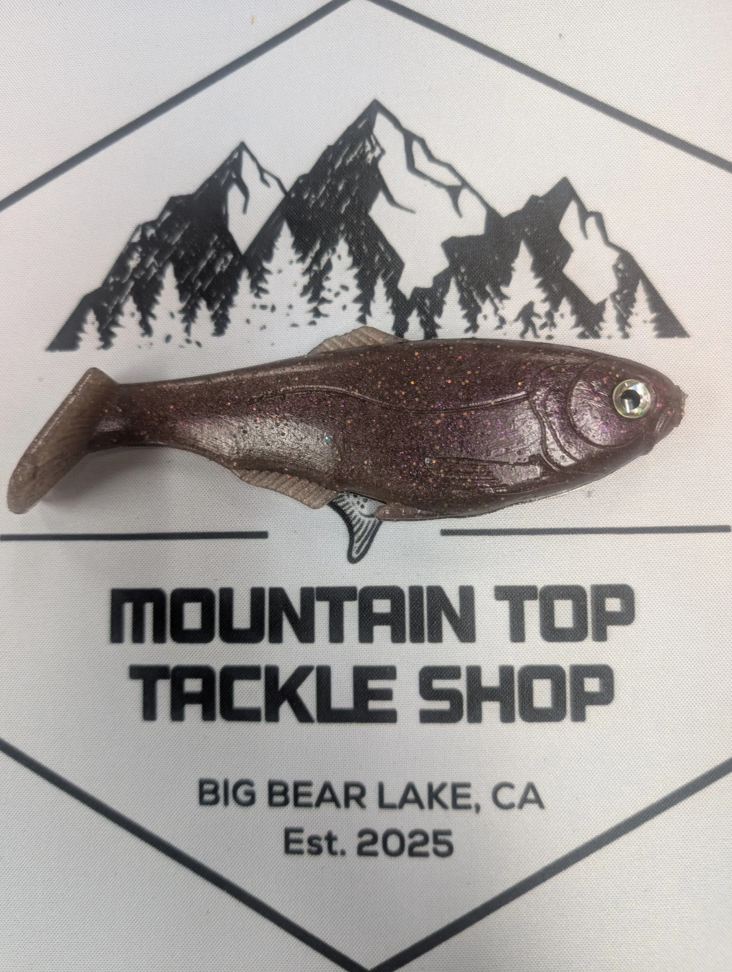 6" War Fish - SALTED - Bruised Goby