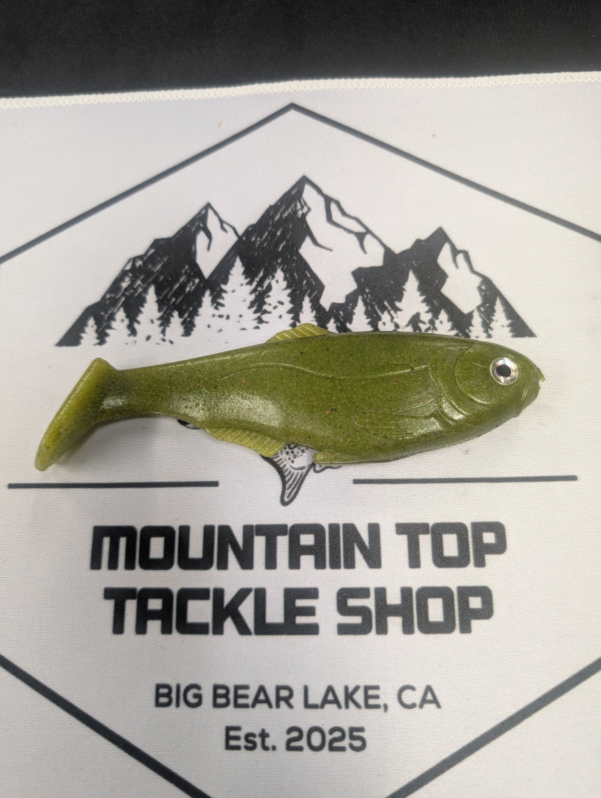 6" War Fish - SALTED - Sewer Water