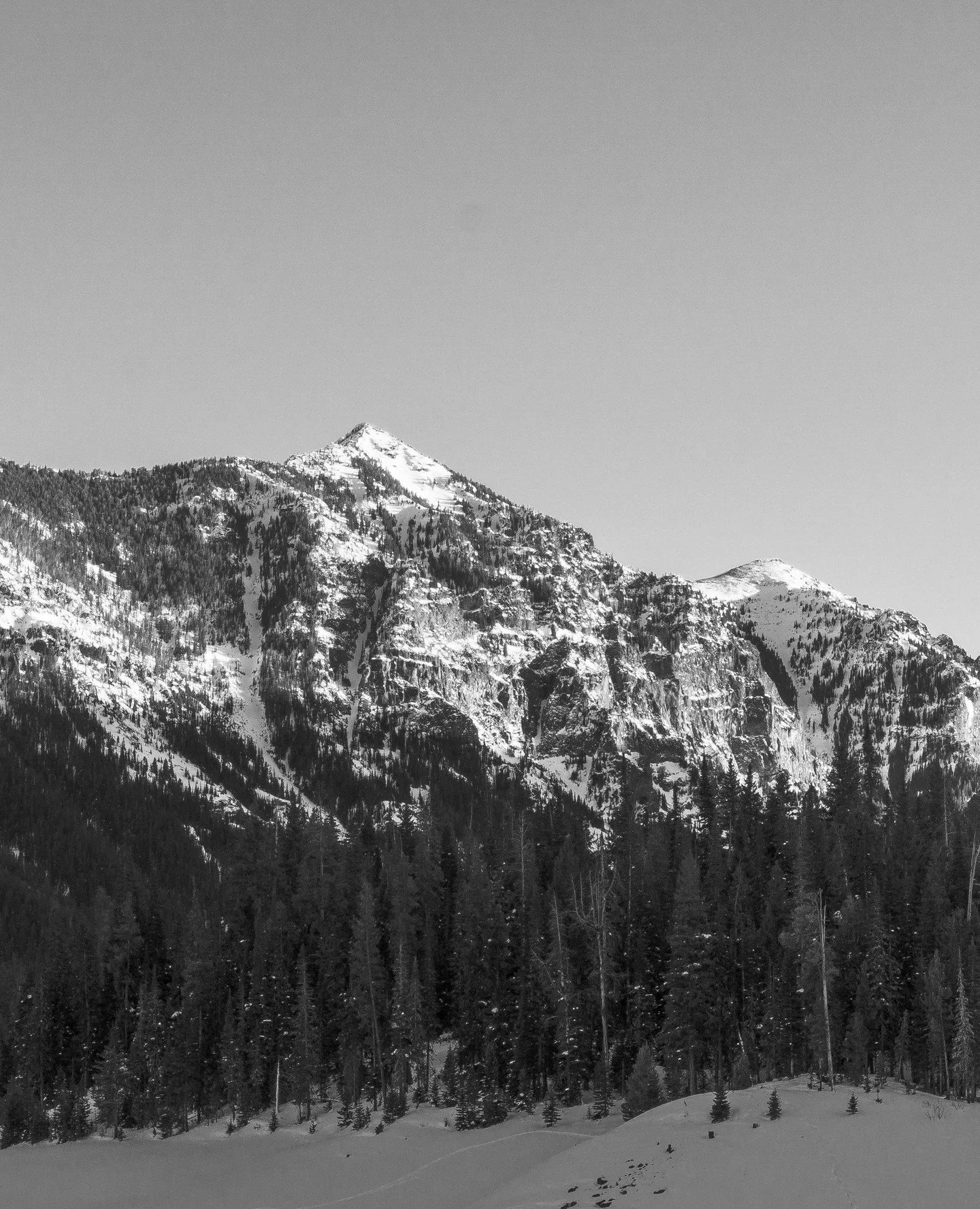 Sundays are for gratitude 💚⁠
⁠
We&rsquo;re especially grateful for our community. Thank you for showing up for yourself, finding connection in your movement, and deepening your practice with us. We wouldn&rsquo;t be able to do this without you. ✨⁠