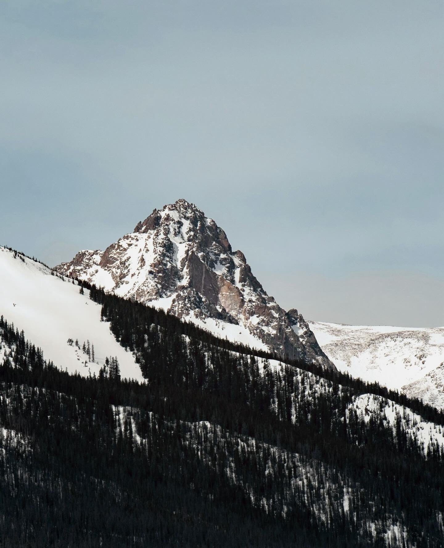 Strength for outside the studio ✨
Controlled. Consistent. Connected.