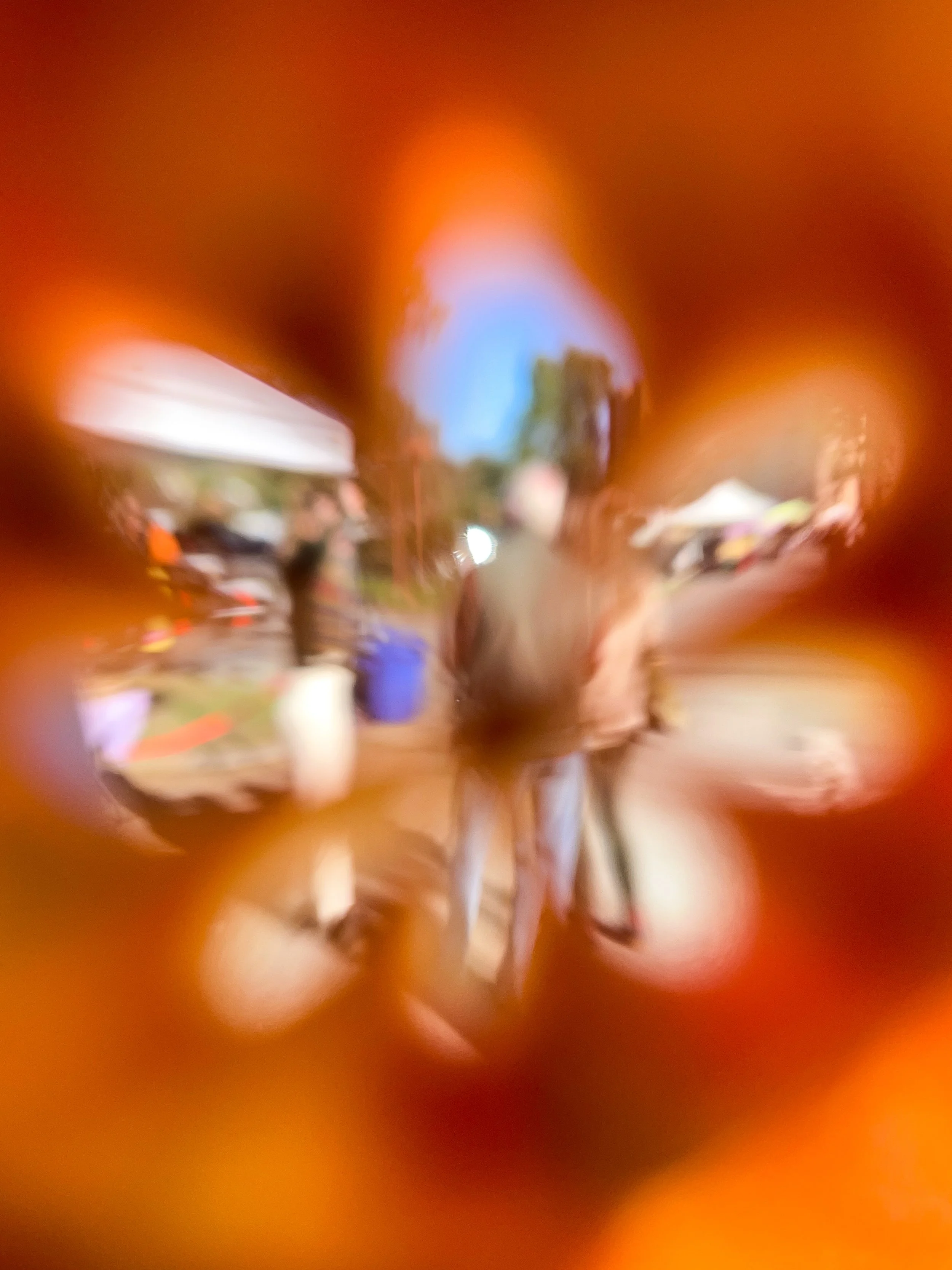 A Persimmon’s Perspective