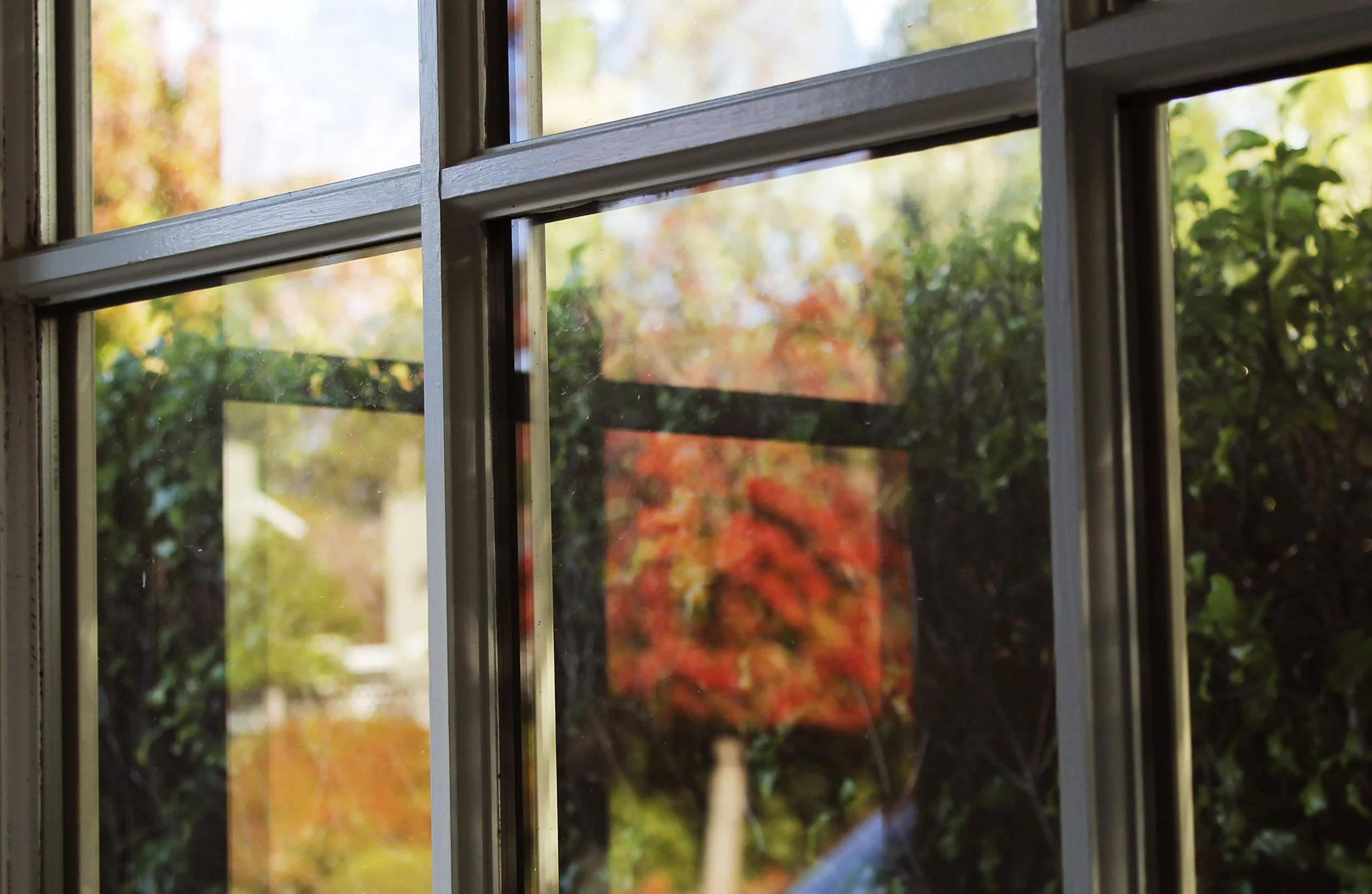 Autumn’s Reflection