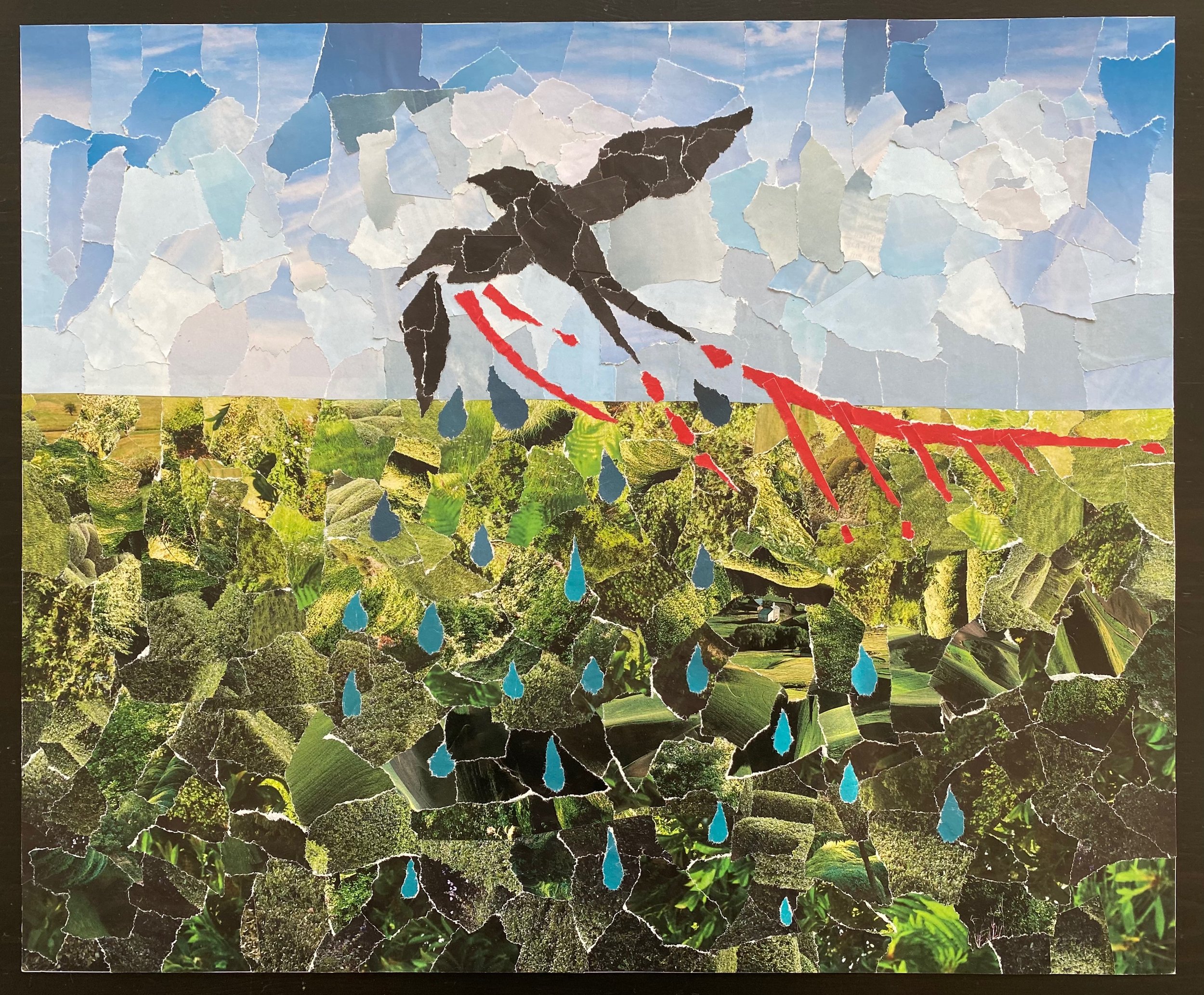 Bird with a Broken Wing