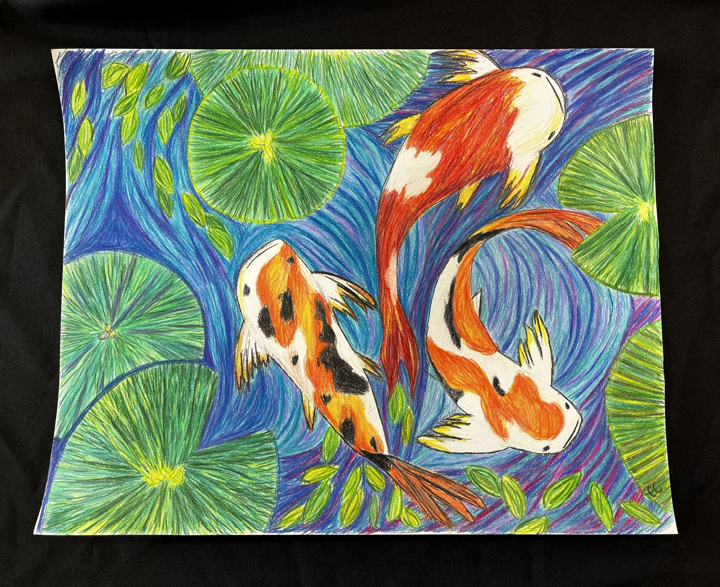 Koi Pond