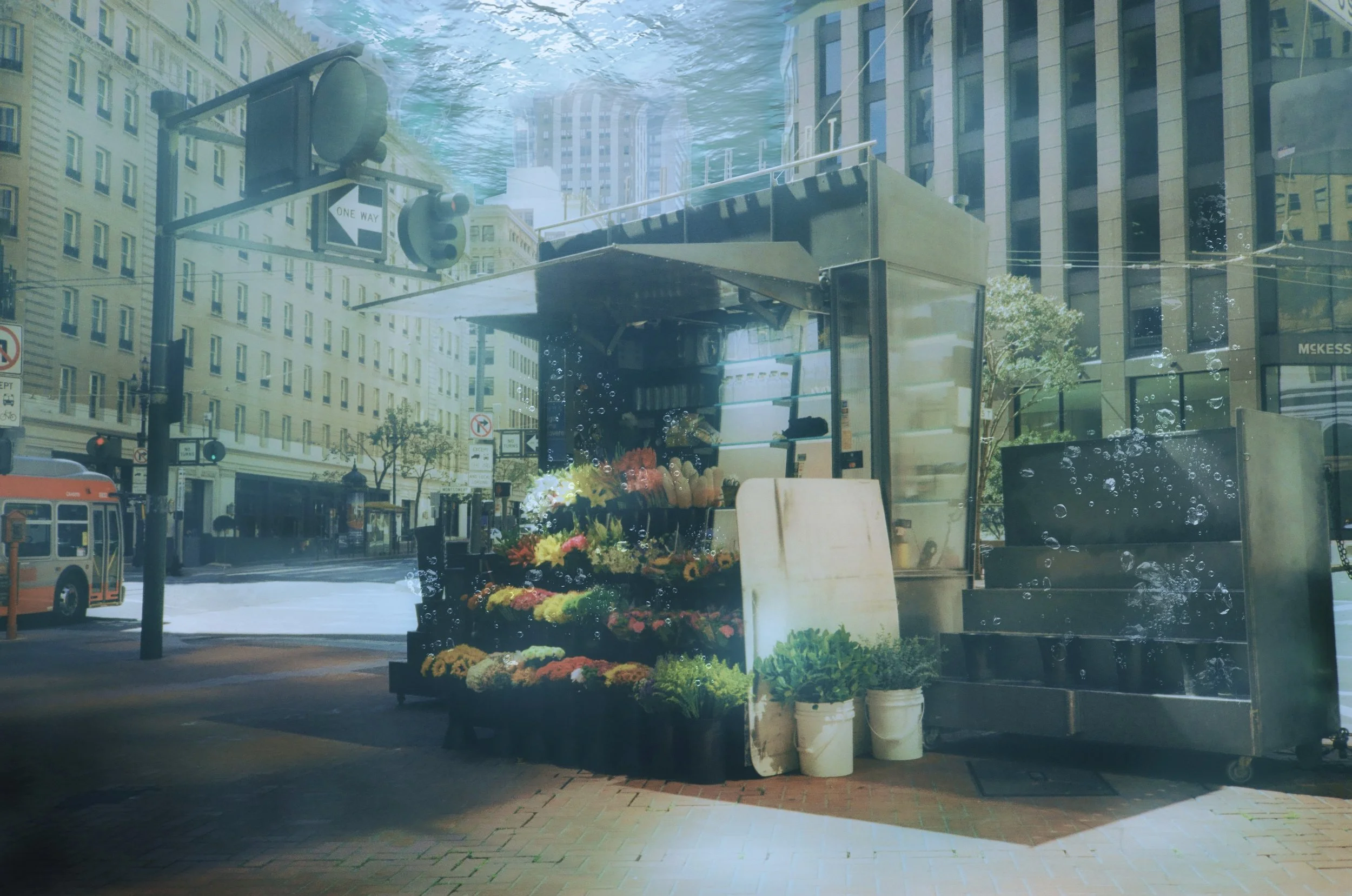 Melodies of the Earth