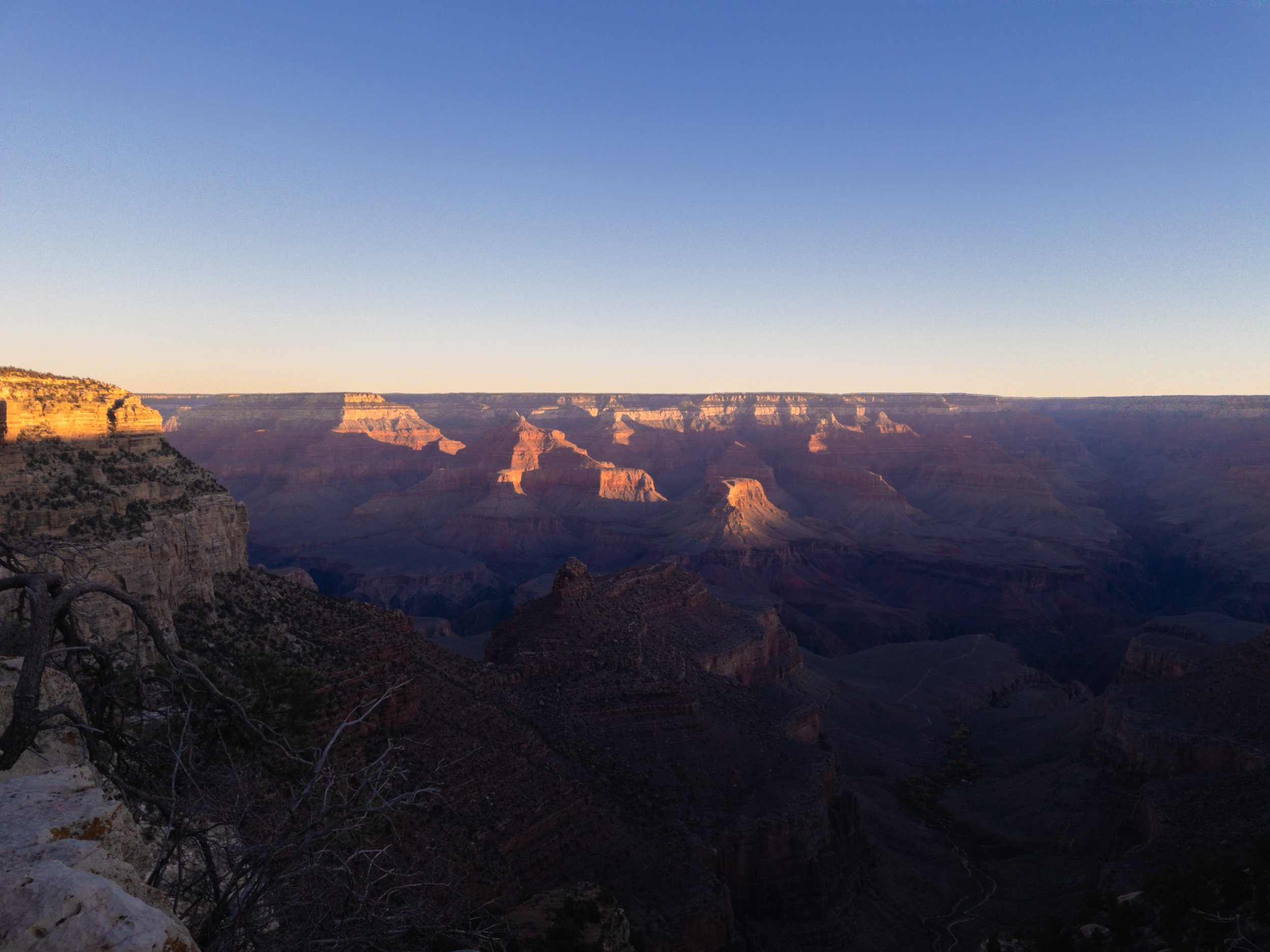 South Rim View