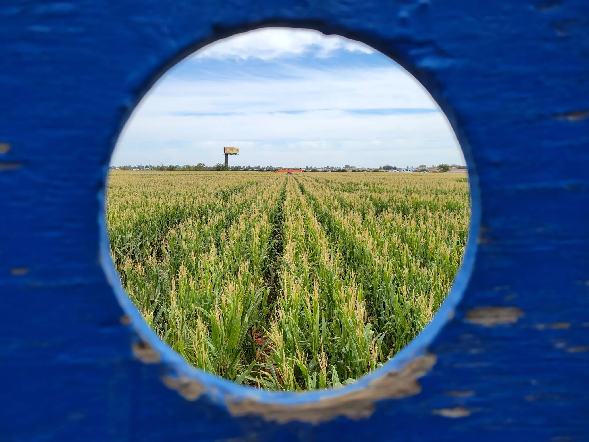 Through the Corn Hole