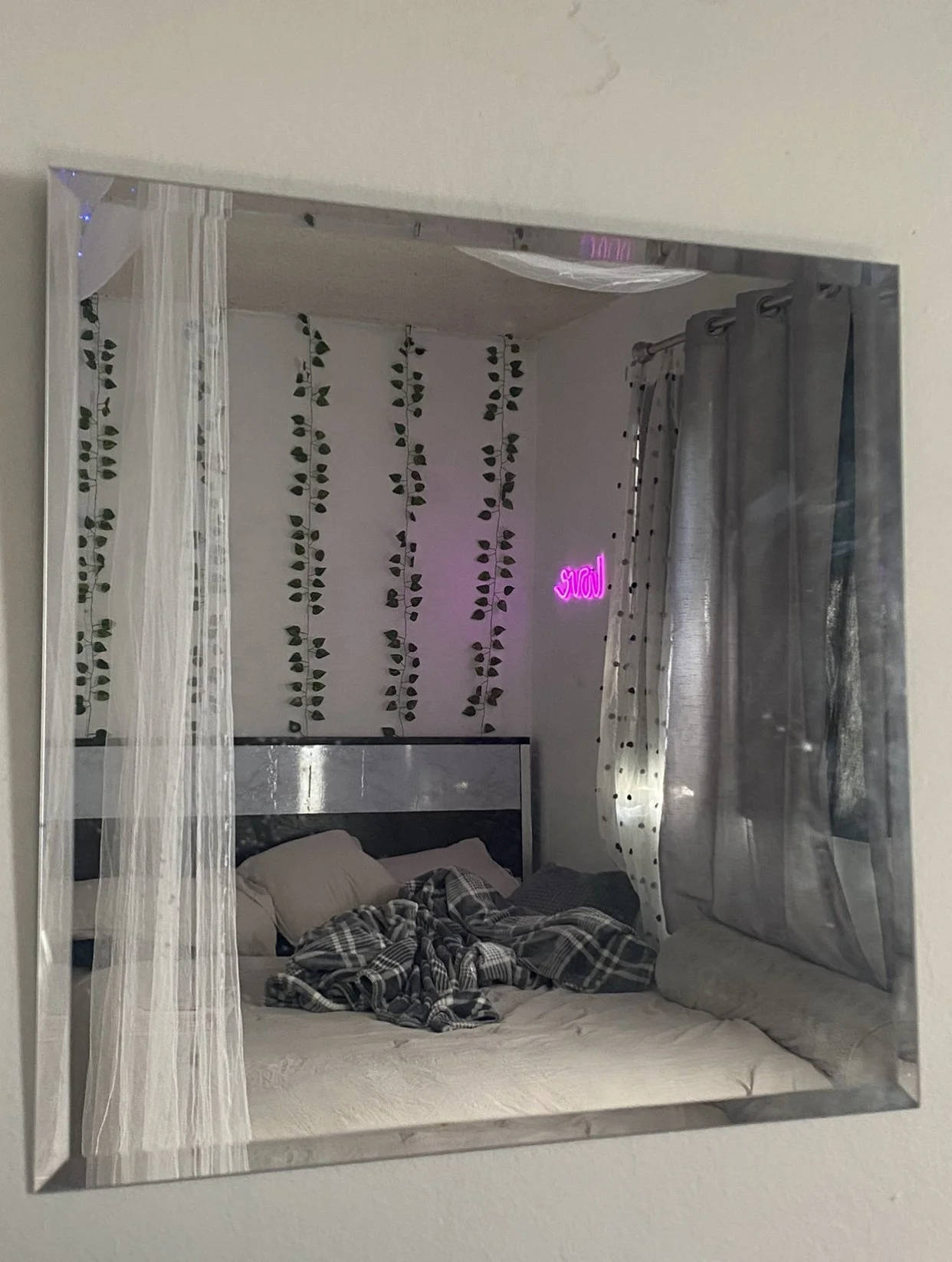 A peek into my world