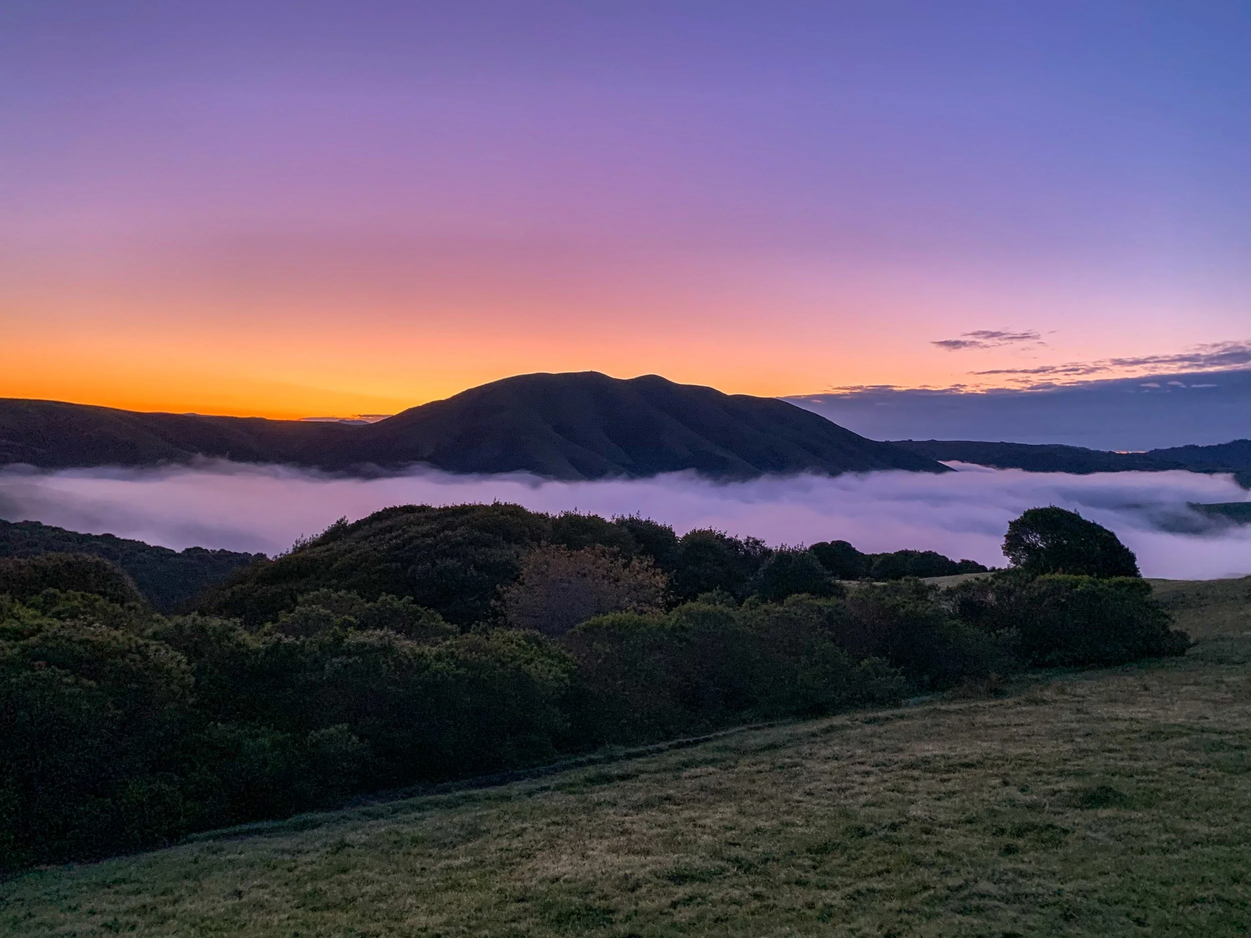 Morning for Elephant Mountain