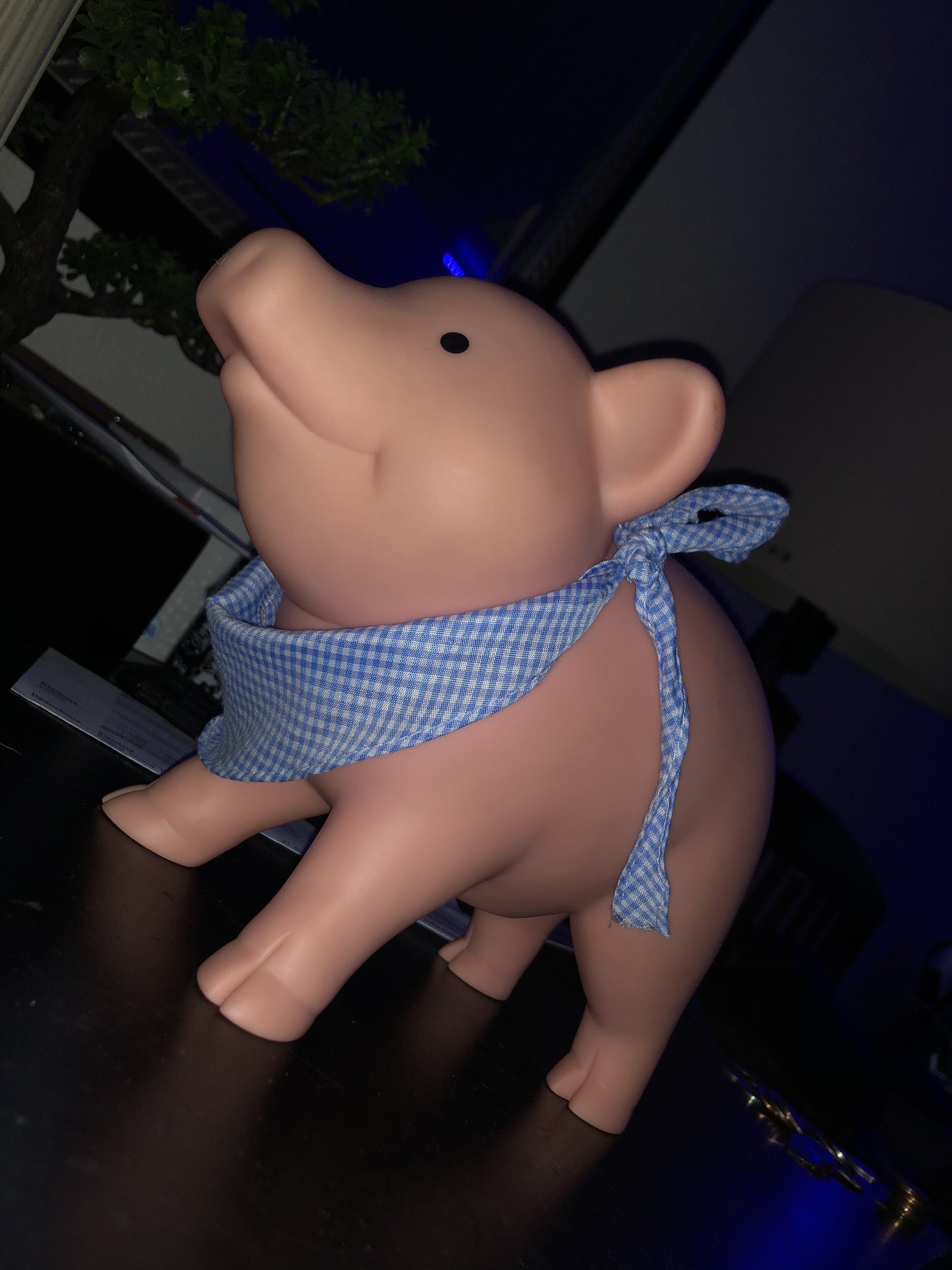 Pig