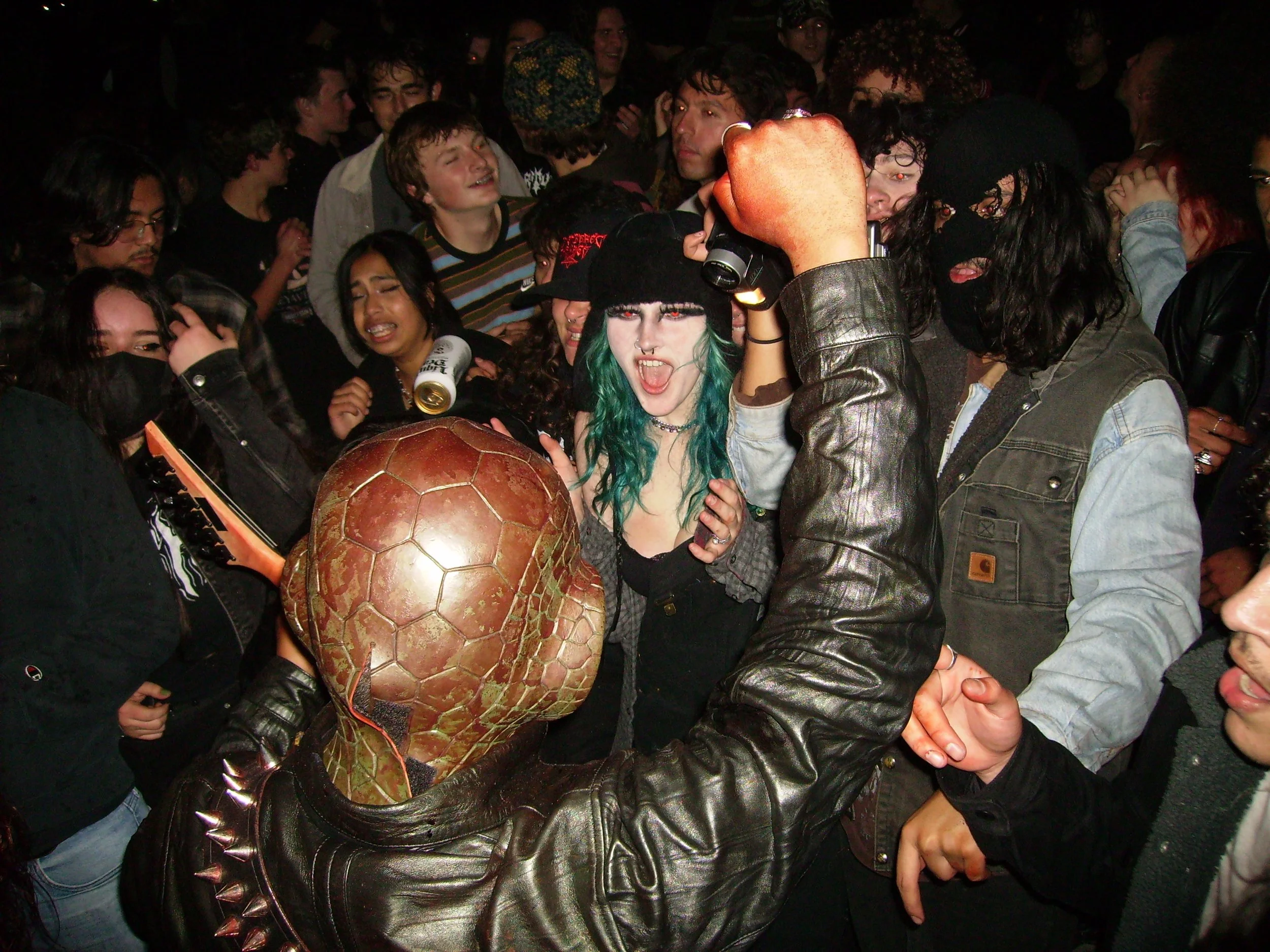 Back Of The Snakes Head