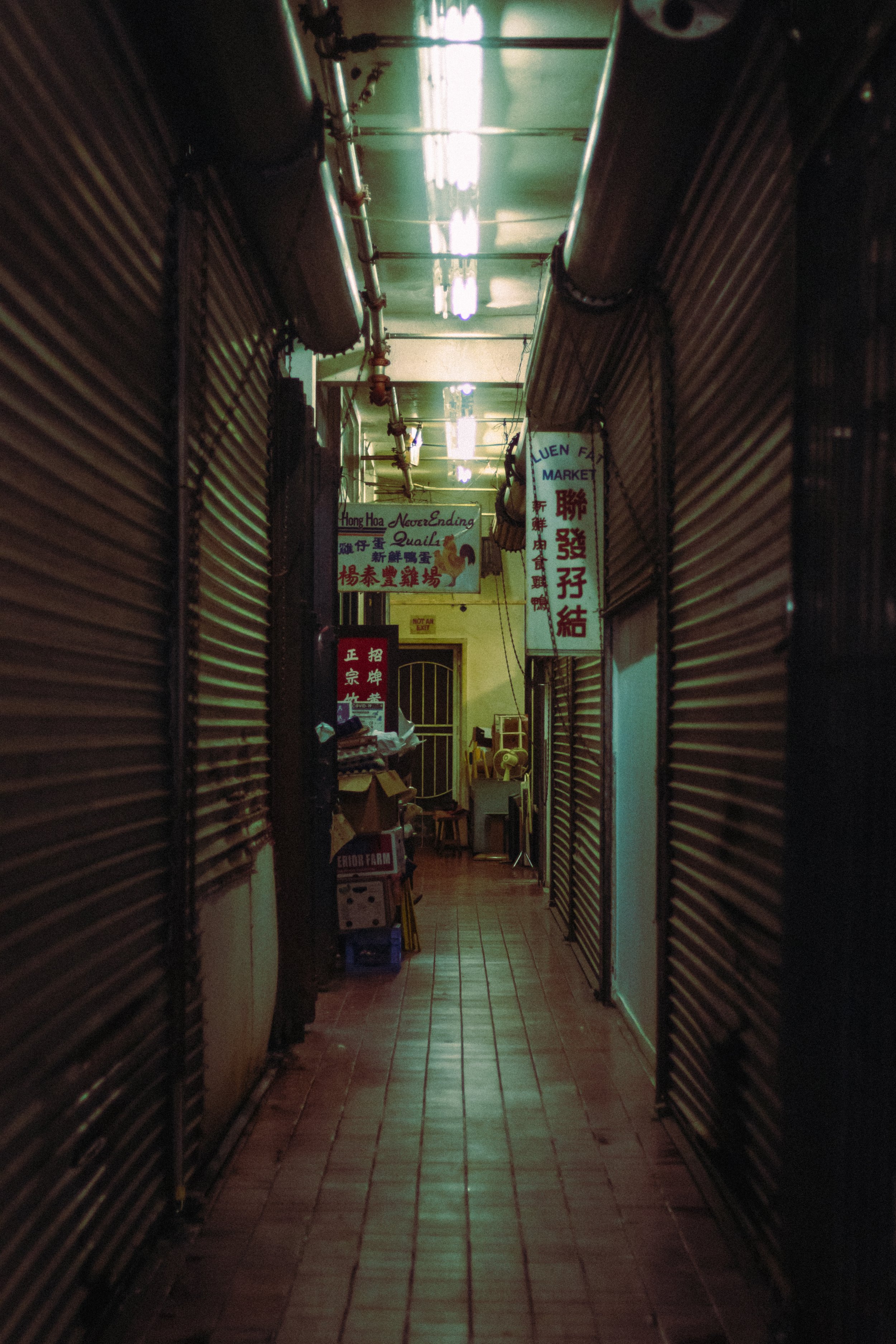 Chinatown Back Alley