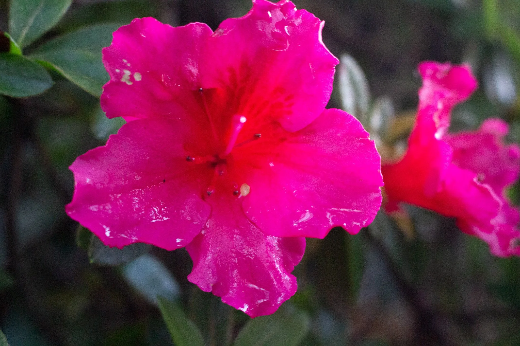 Existence Amongst the Tempest