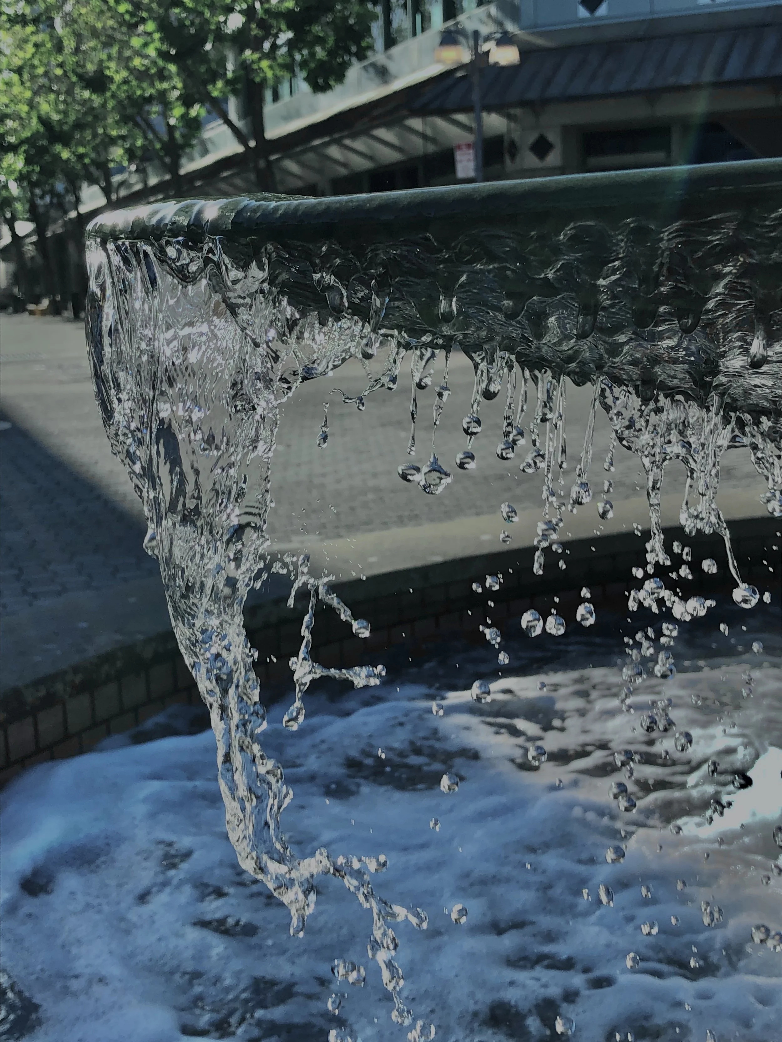 Fallen Spray