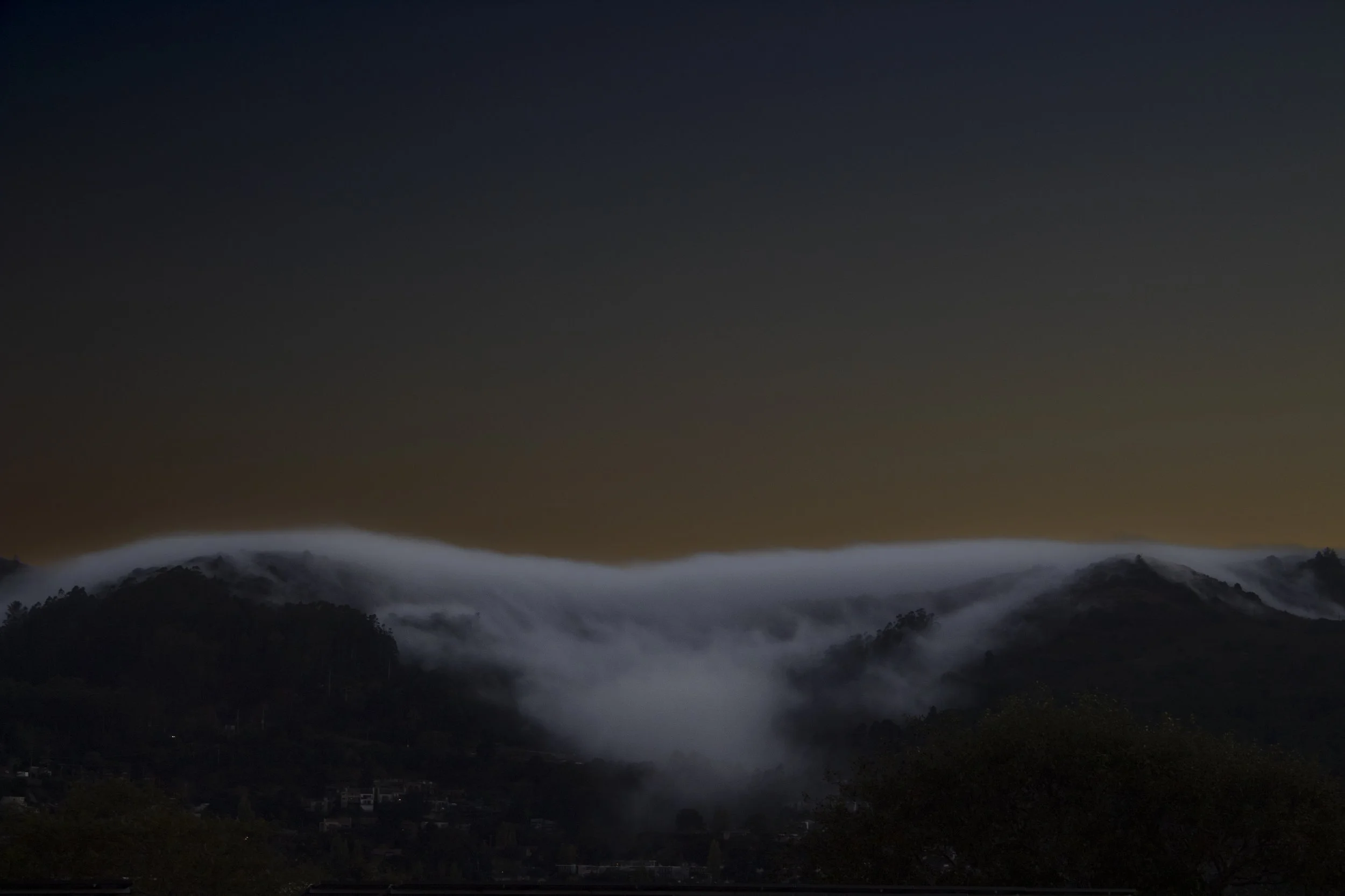 Marin Fog