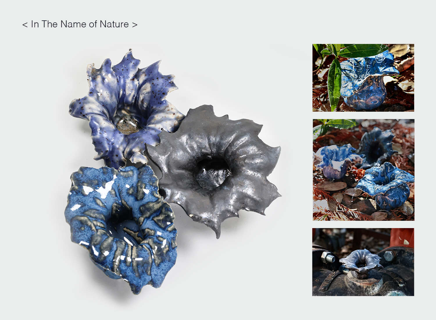 In the Name of Nature