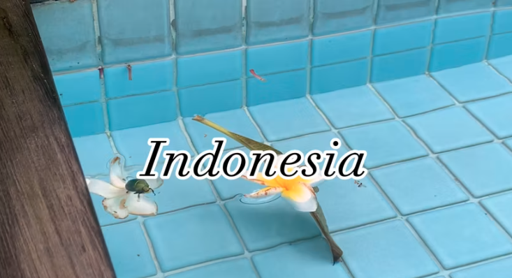 Indonesia