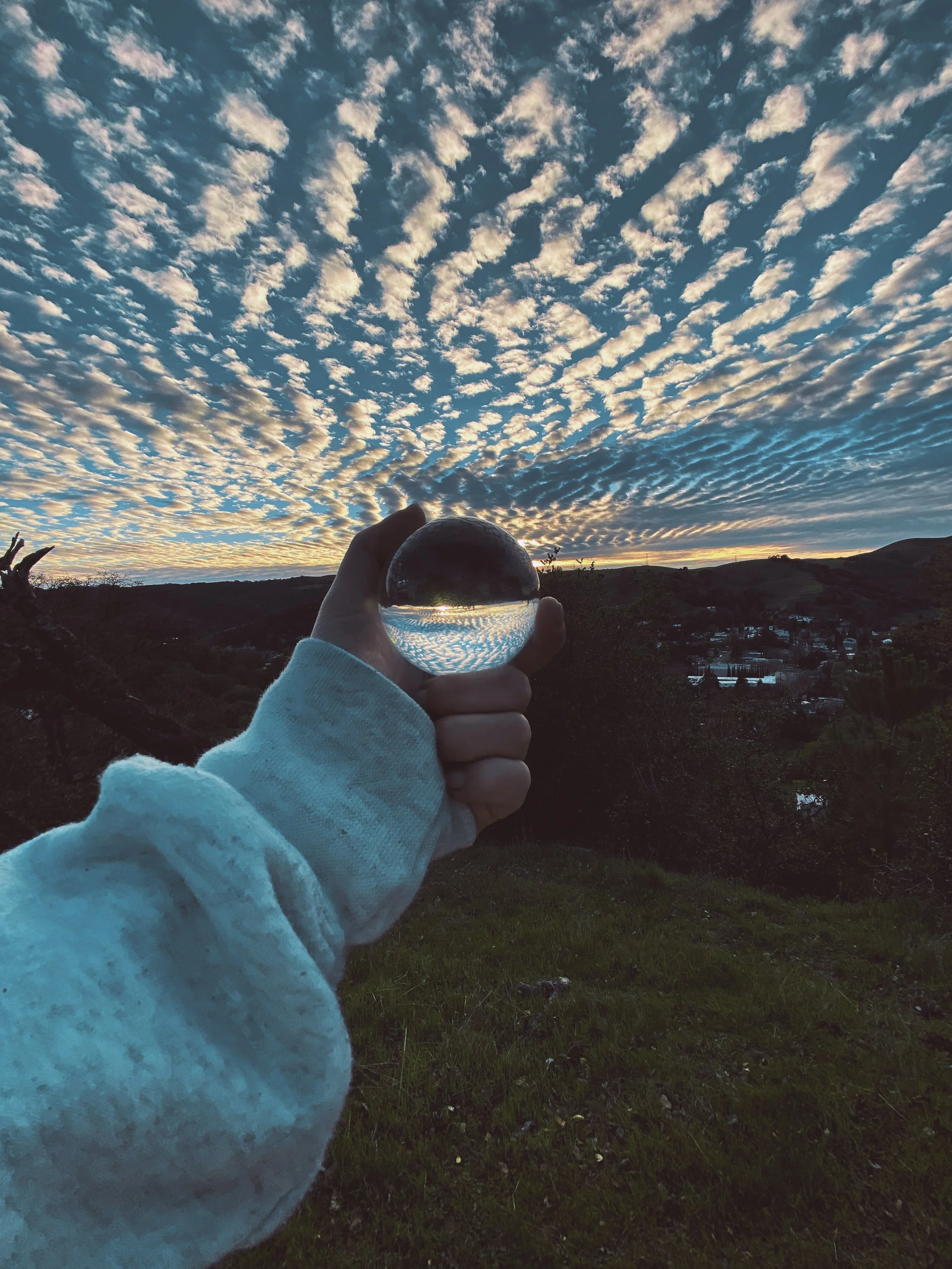 Inverted World