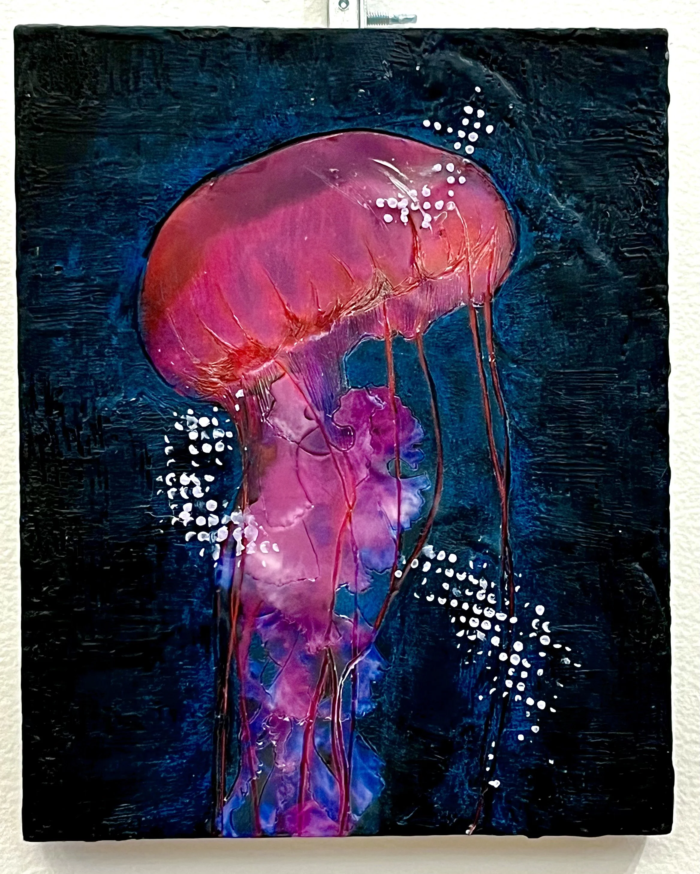 Jellyfish
