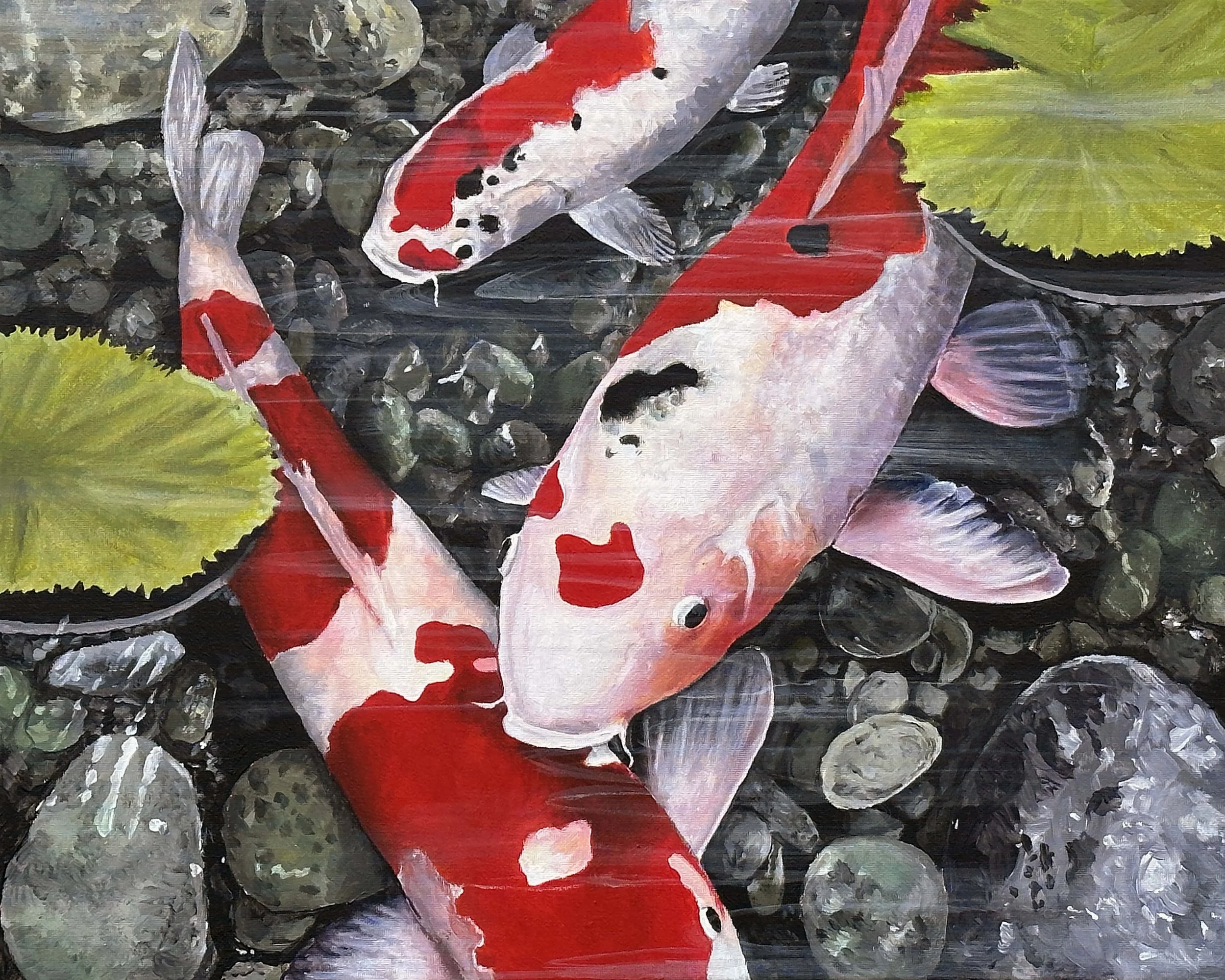 Koi Fish