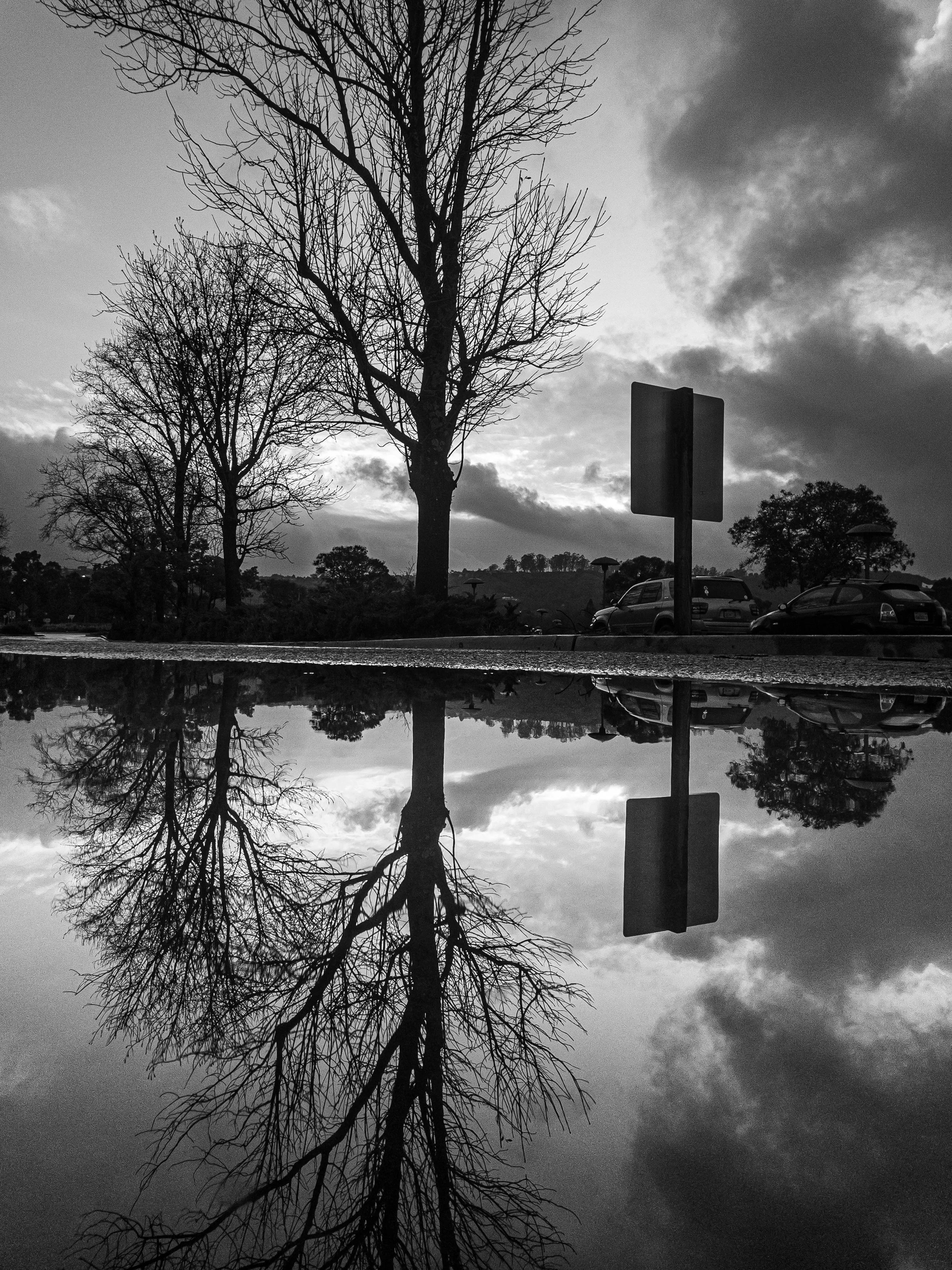 Puddles