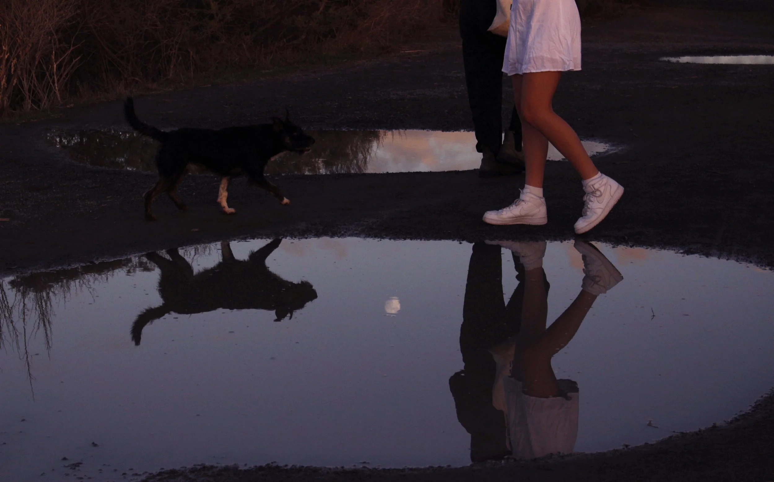 Reflection