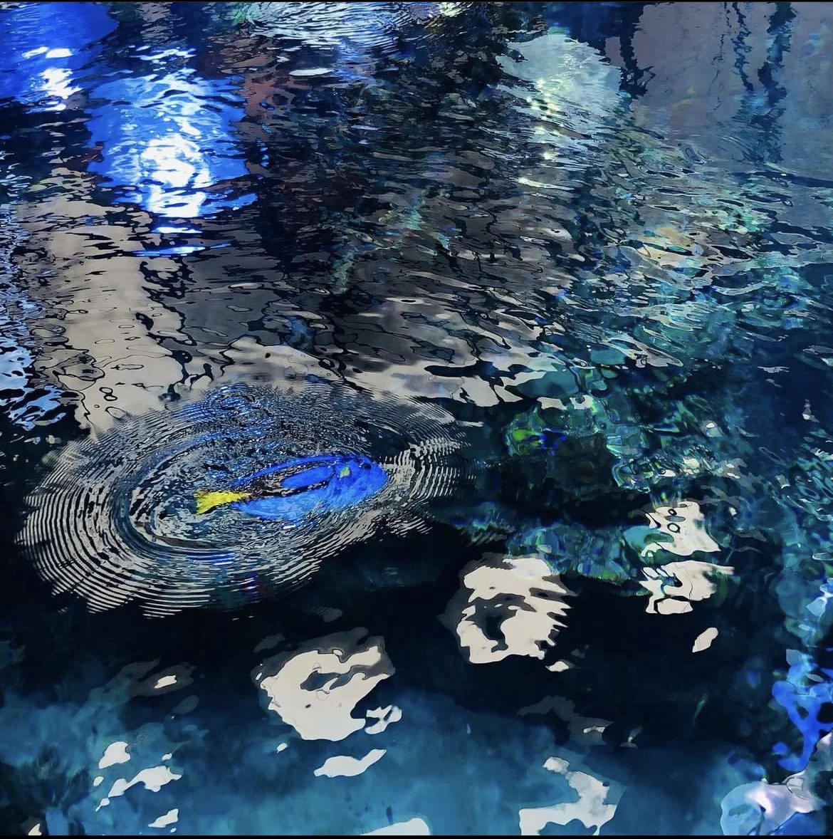 Ripples